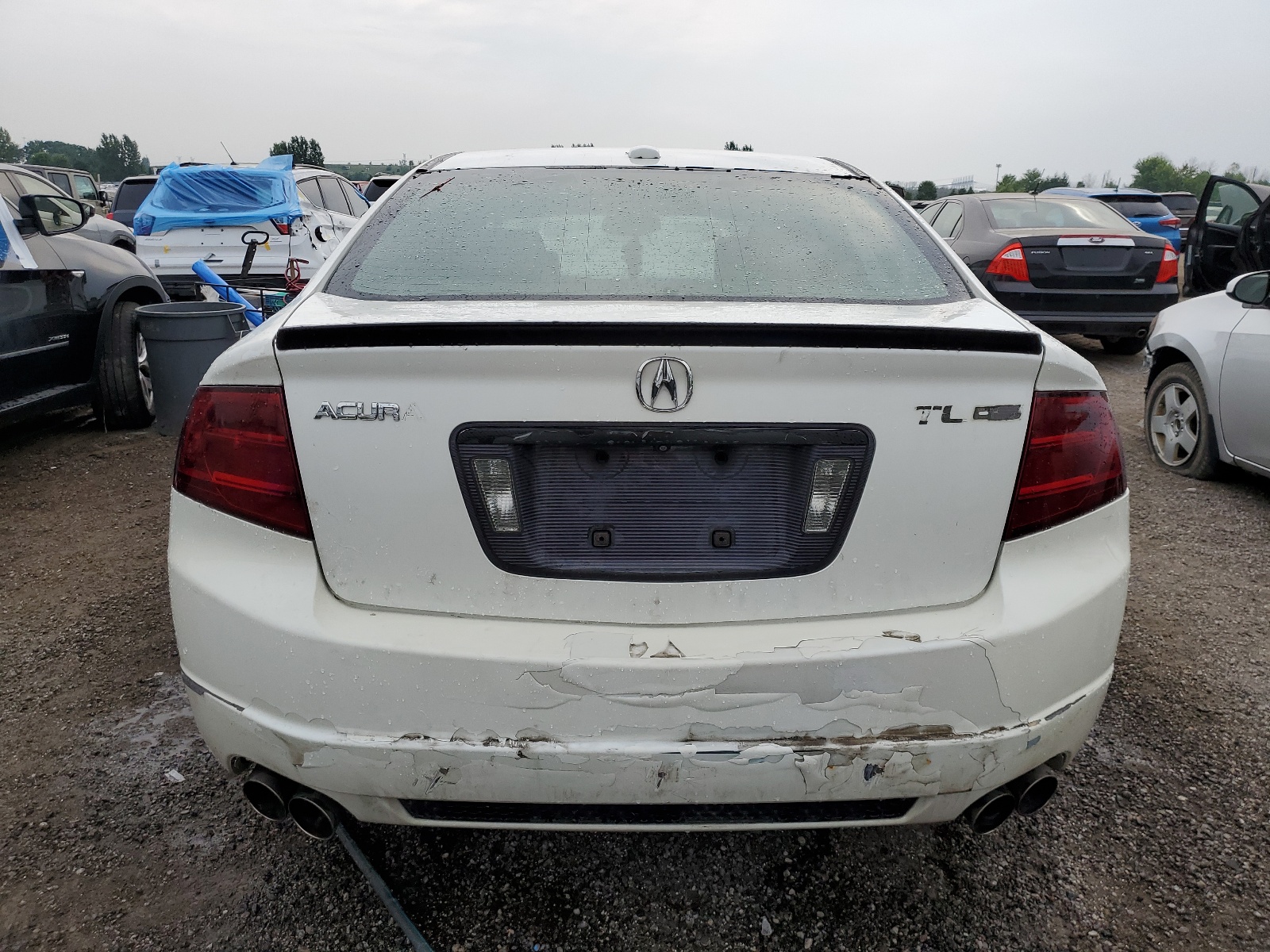 19UUA76548A804013 2008 Acura Tl Type S