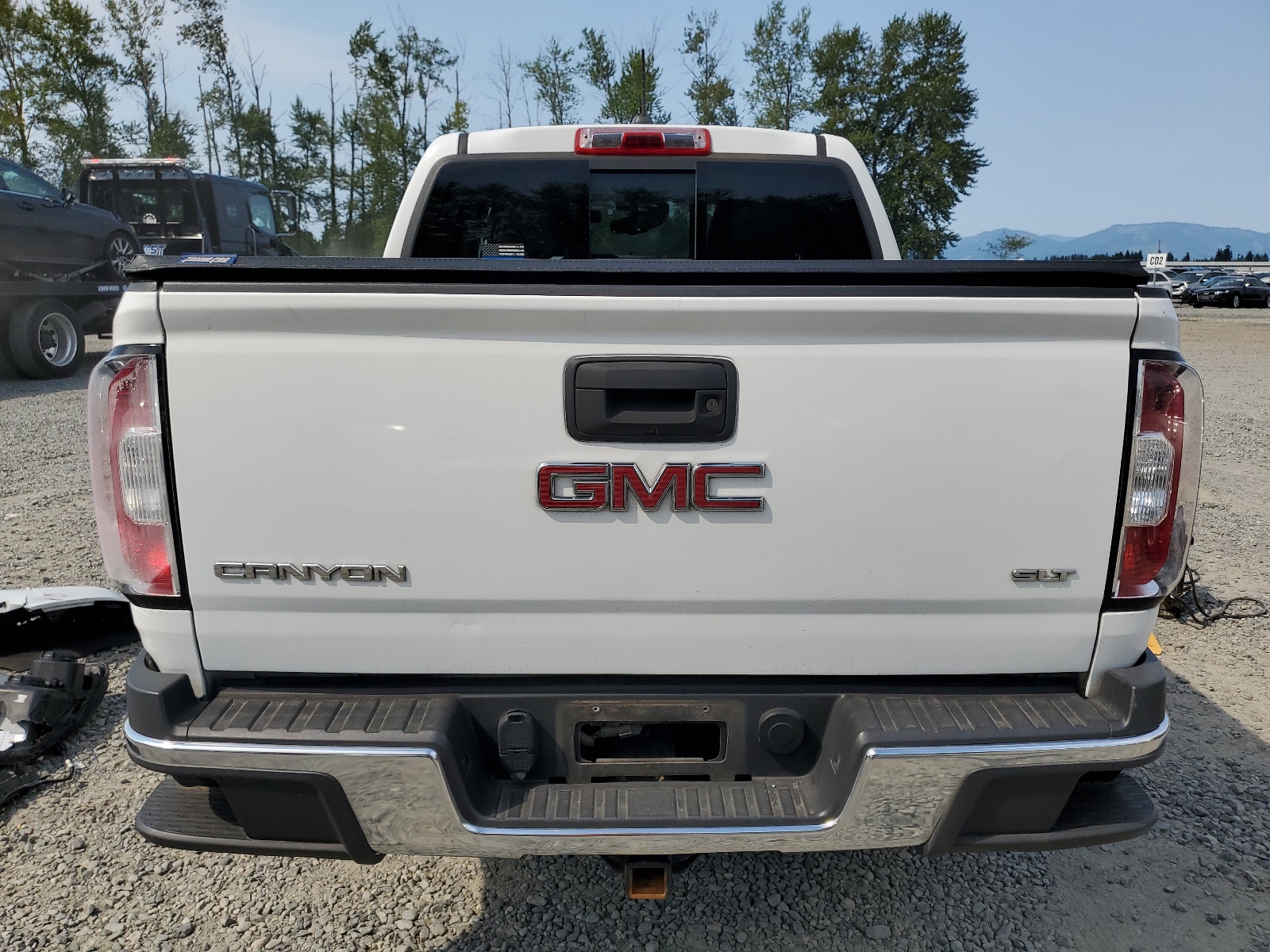 1GTG6CE39F1199263 2015 GMC Canyon Slt