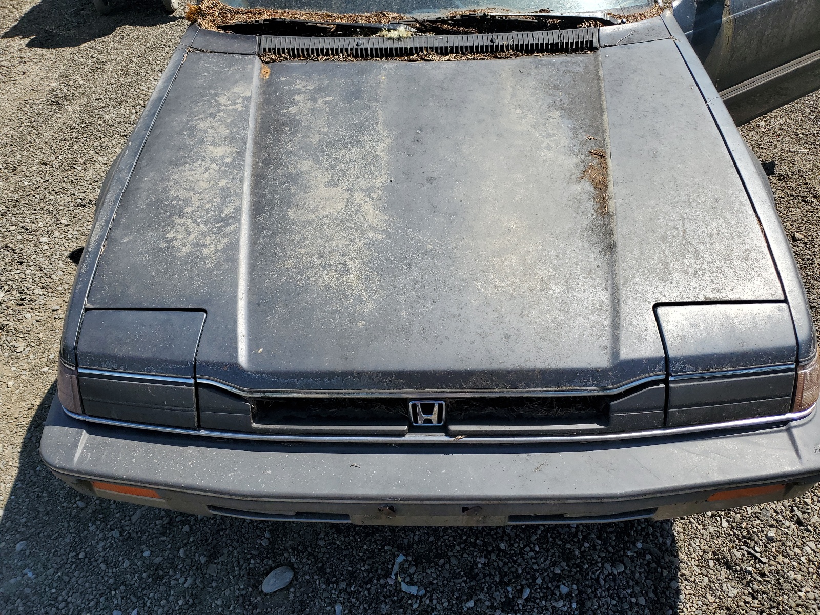 JHMAB7228GC007713 1986 Honda Prelude 1800