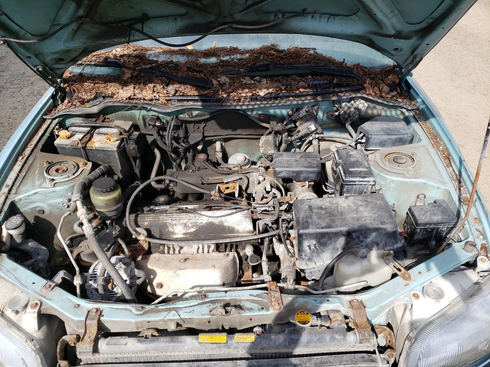 JT3HP10V0V0145597 1997 Toyota Rav4