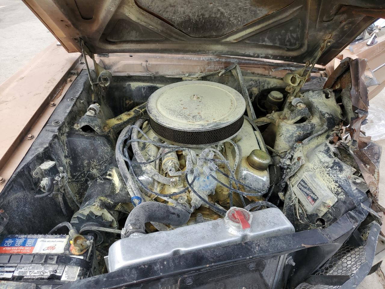 5F07D184129 1965 Ford Must