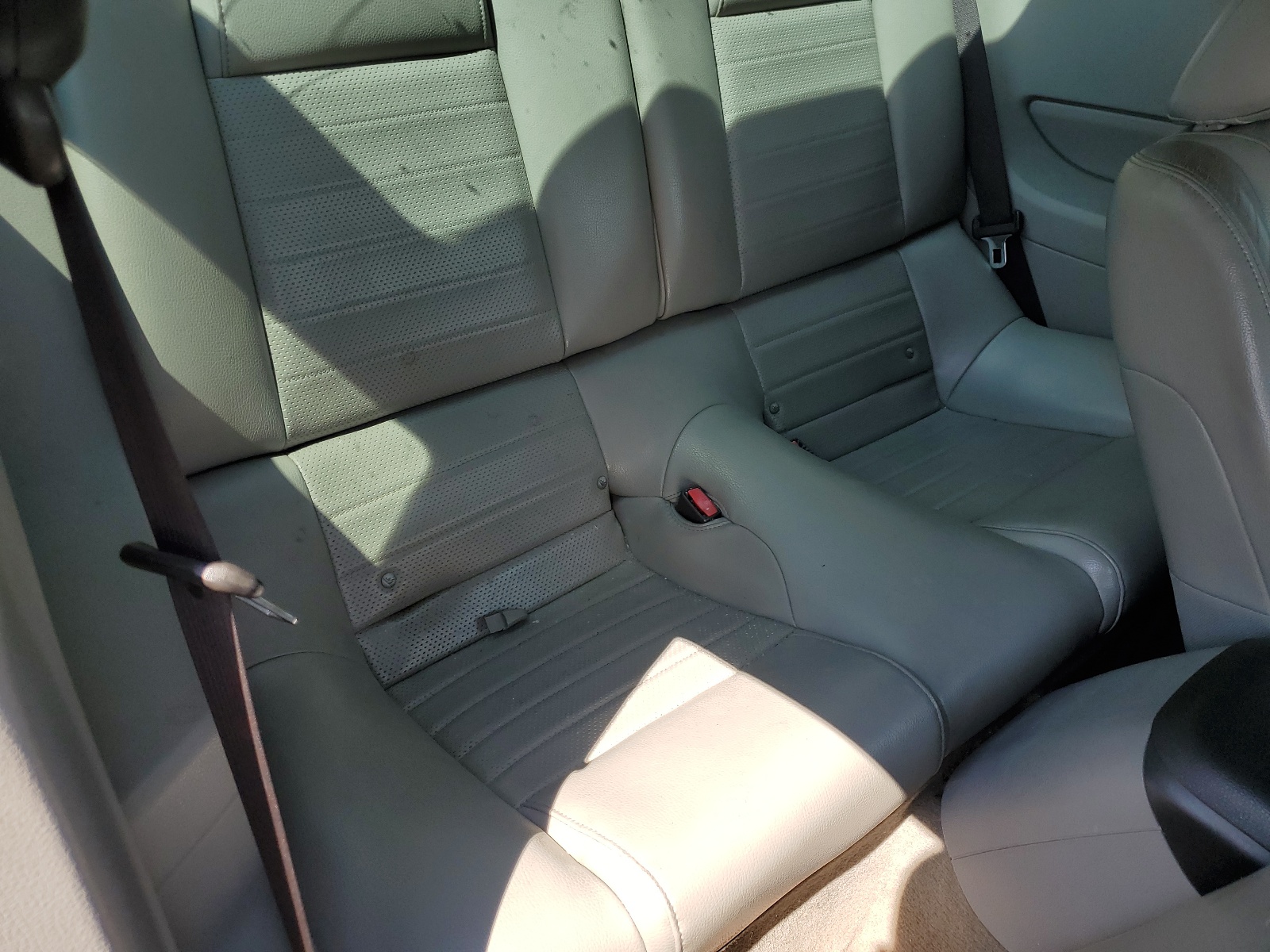 1ZVFT82H565111770 2006 Ford Mustang Gt