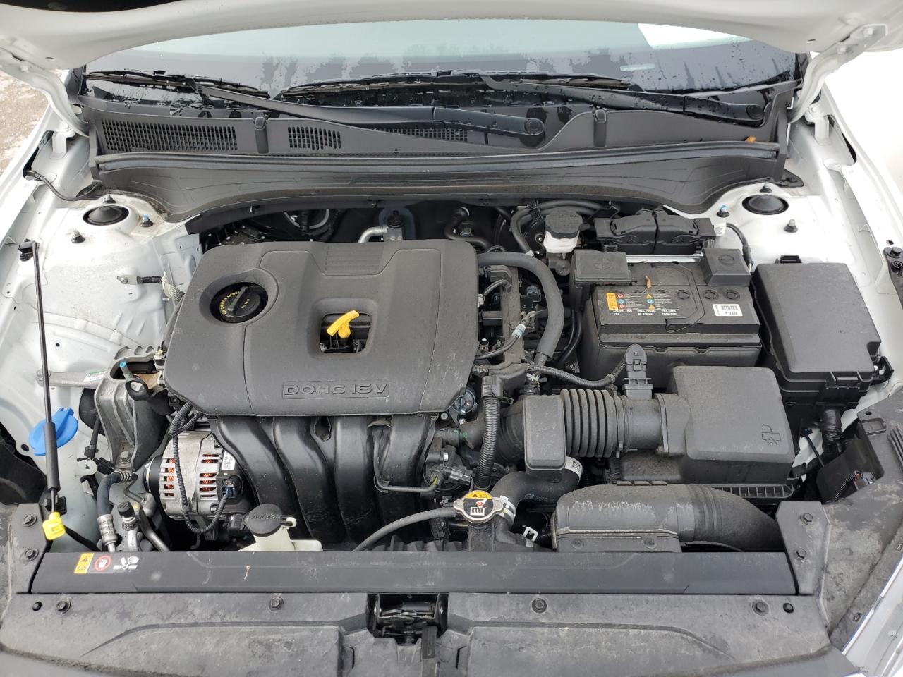 2019 Kia Forte Fe VIN: 3KPF24AD6KE135698 Lot: 66020504