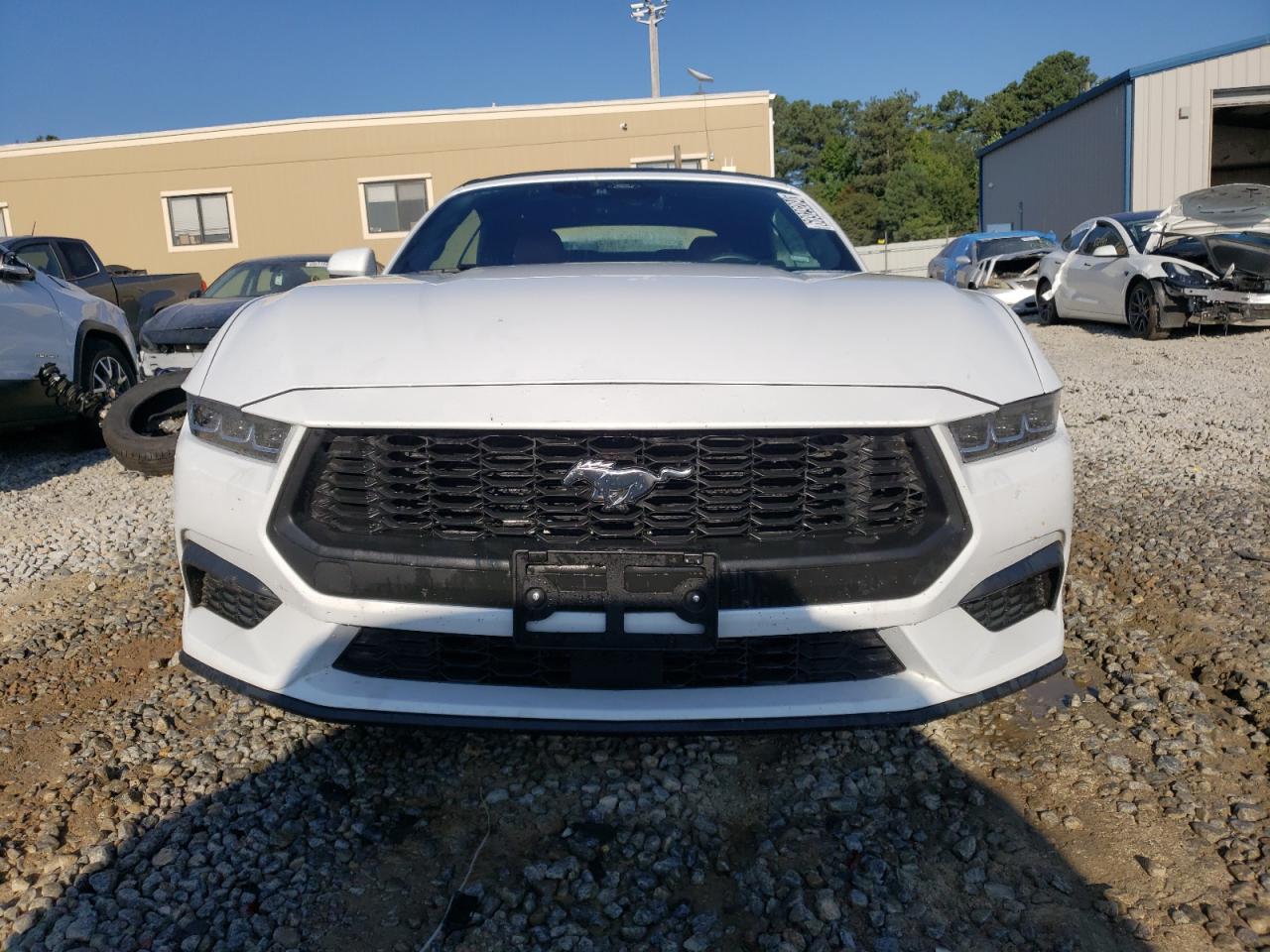 2024 Ford Mustang VIN: 1FAGP8UH8R5129926 Lot: 68929284