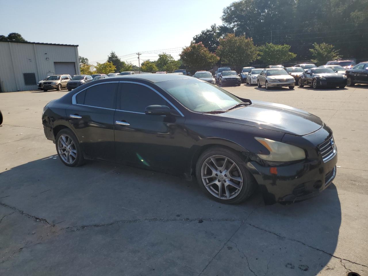 2009 Nissan Maxima S VIN: 1N4AA51E49C834296 Lot: 68636194