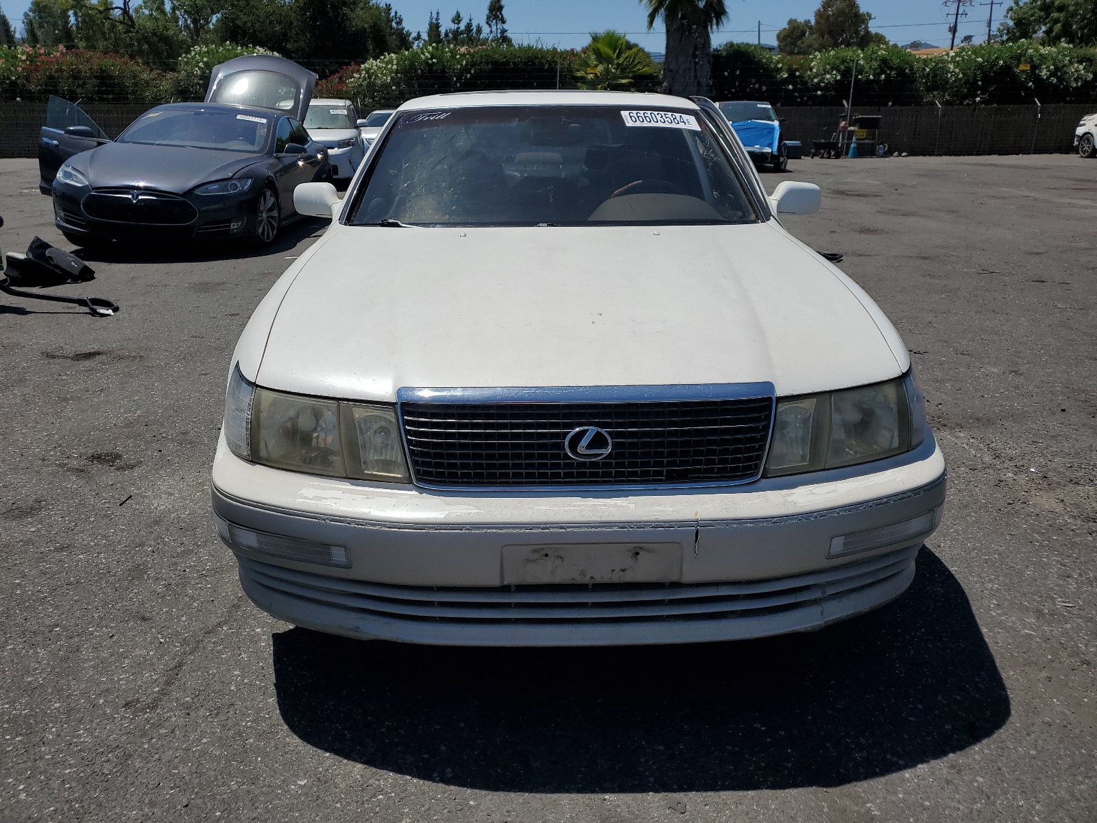 JT8UF11E1M0067808 1991 Lexus Ls 400