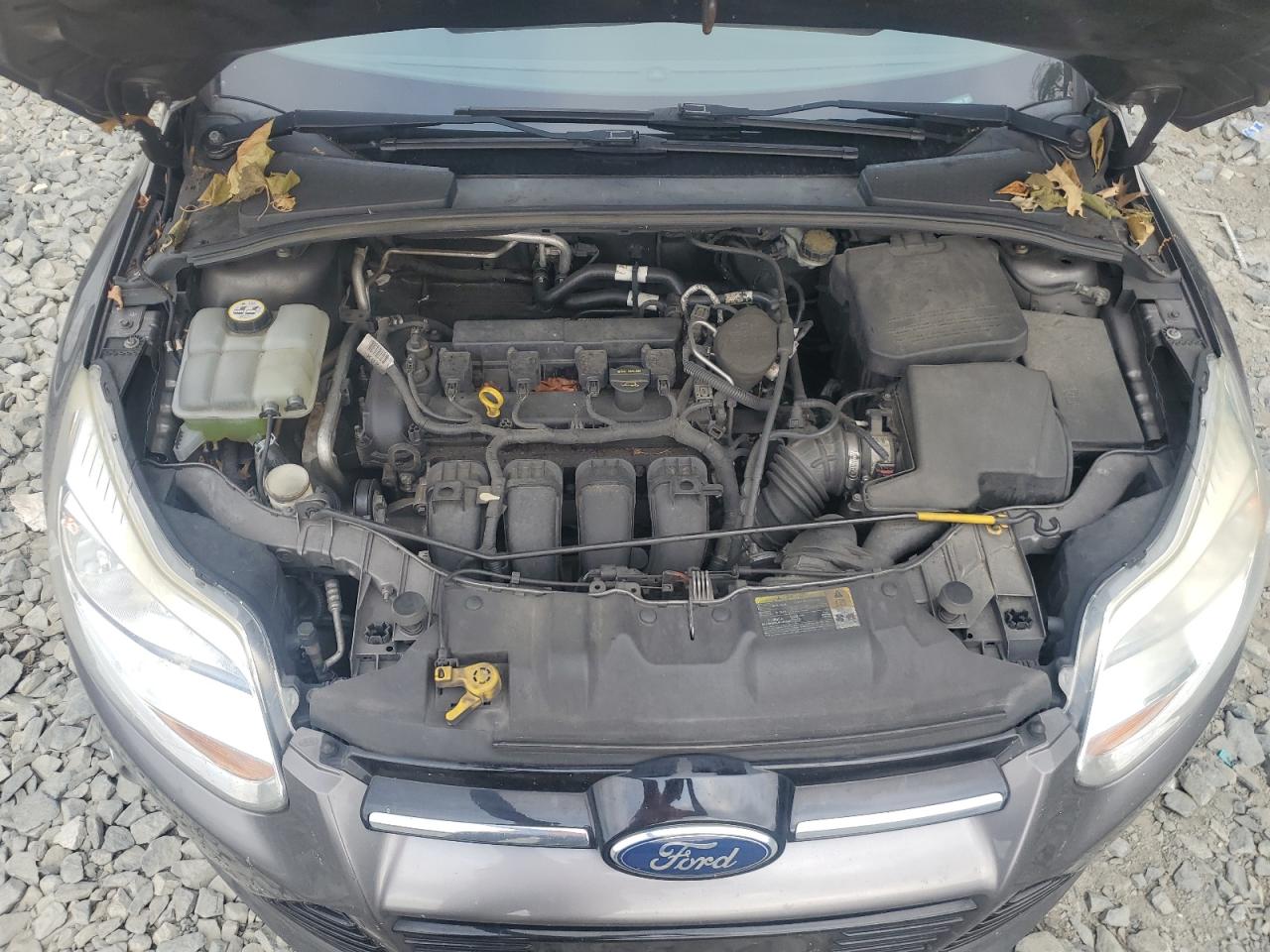 1FAHP3M21CL335854 2012 Ford Focus Sel