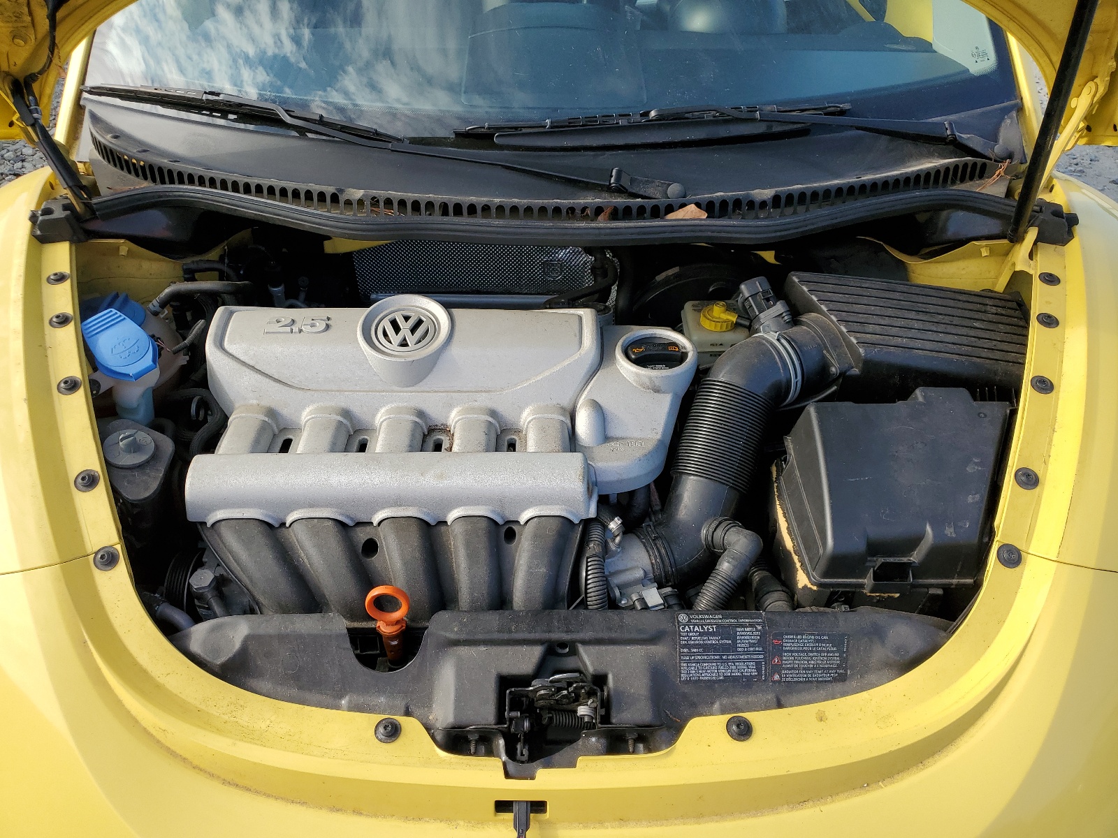 3VWPW31C78M505322 2008 Volkswagen New Beetle S