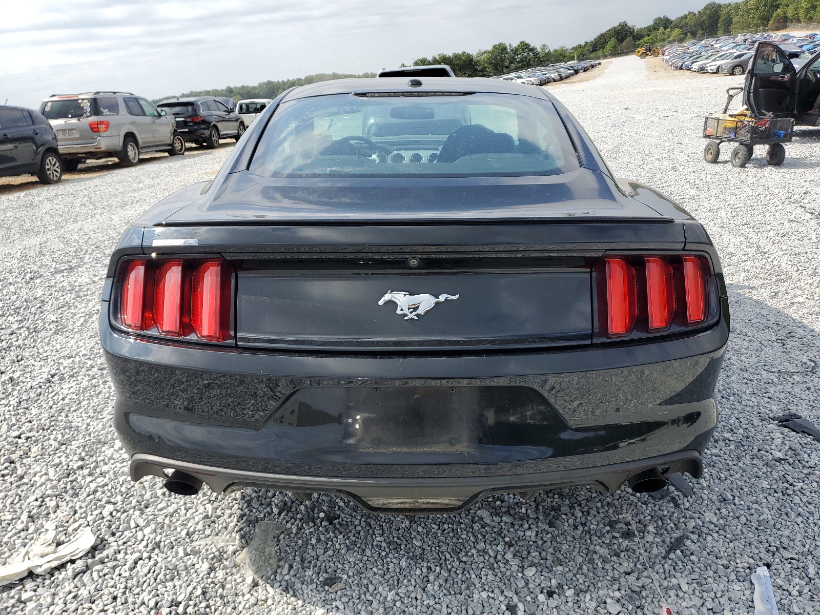 1FA6P8THXG5316398 2016 Ford Mustang