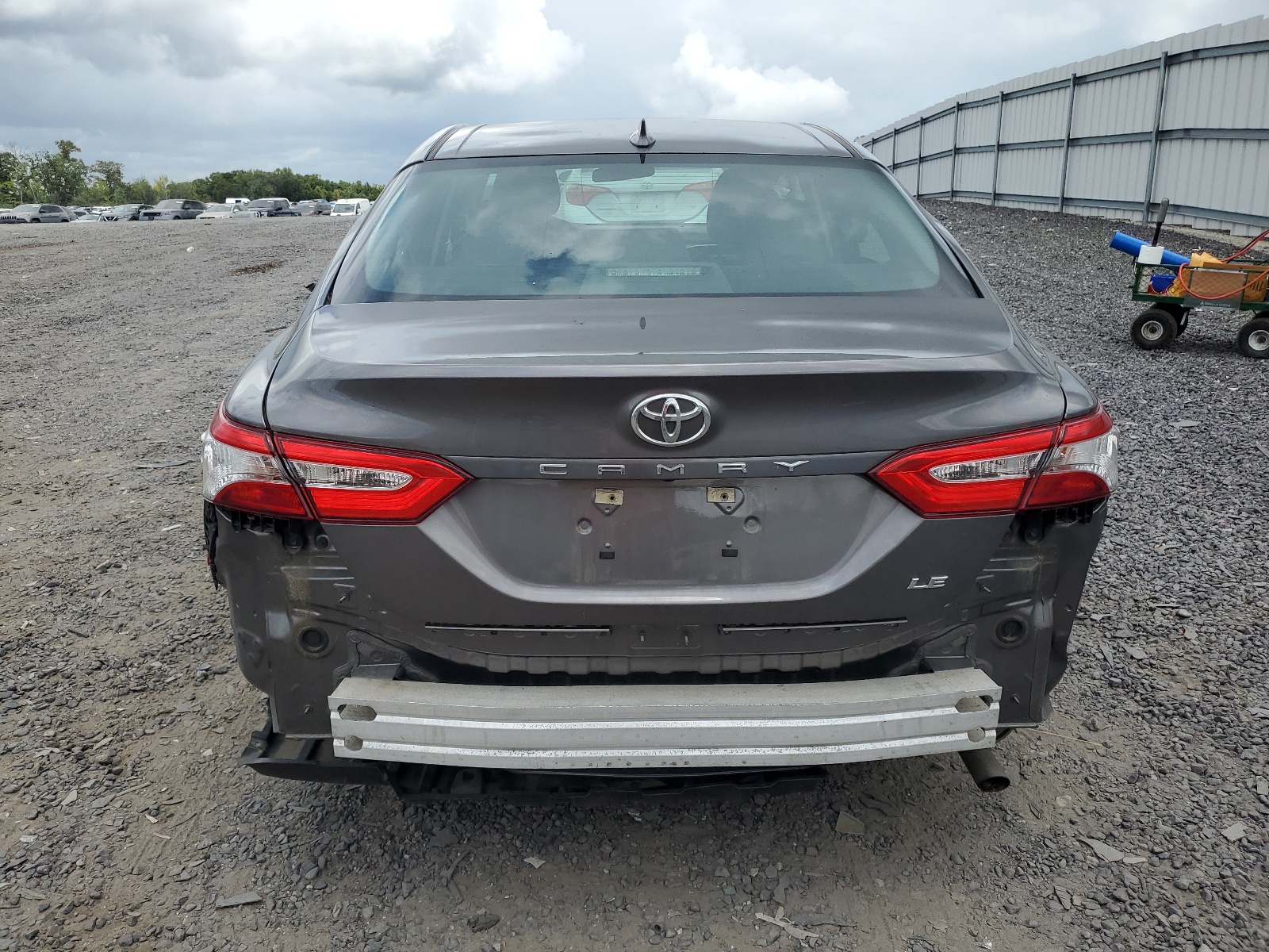 4T1B11HK8KU795582 2019 Toyota Camry L