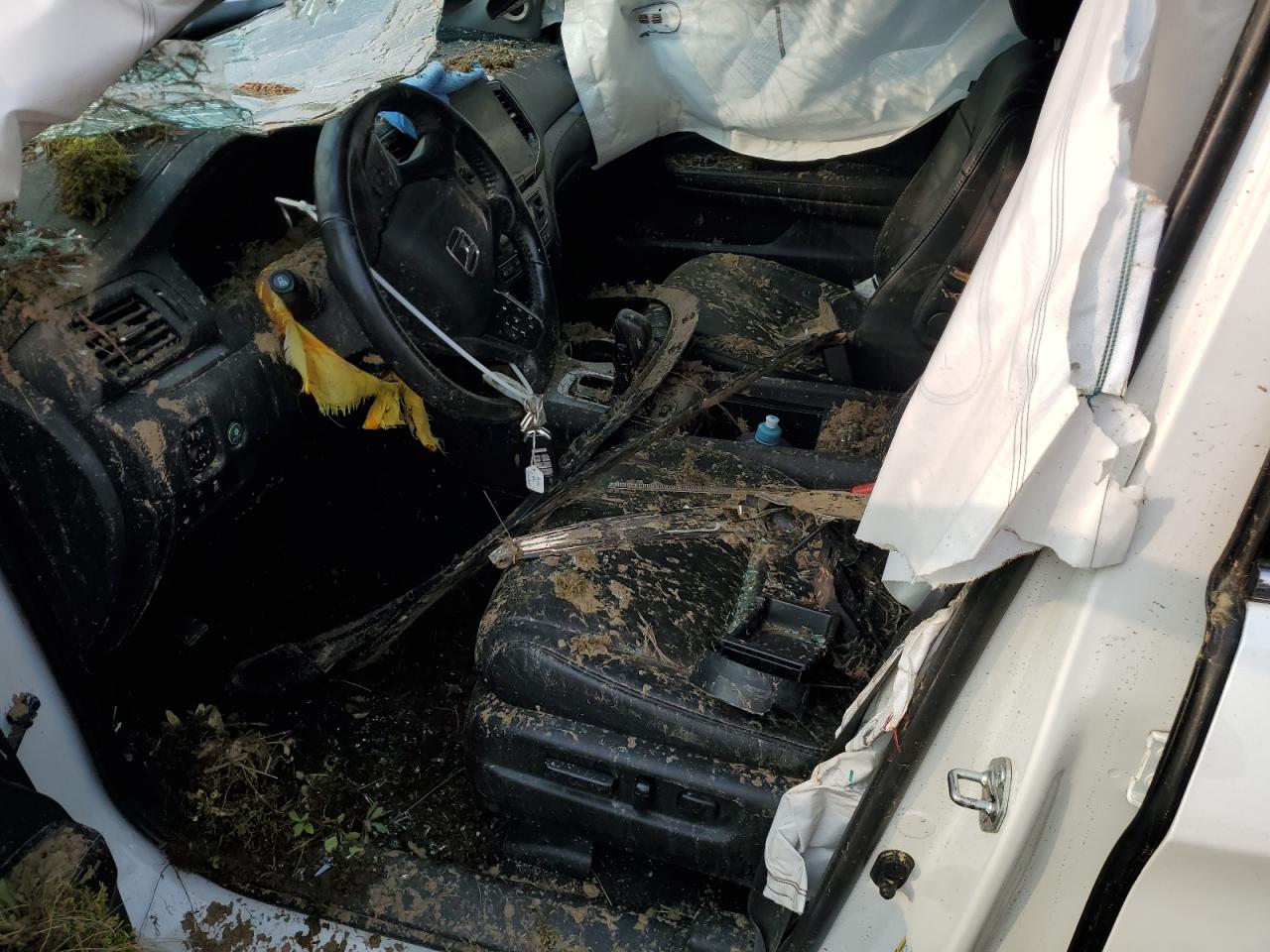 2019 Honda Pilot Exl VIN: 5FNYF6H77KB500473 Lot: 67294724