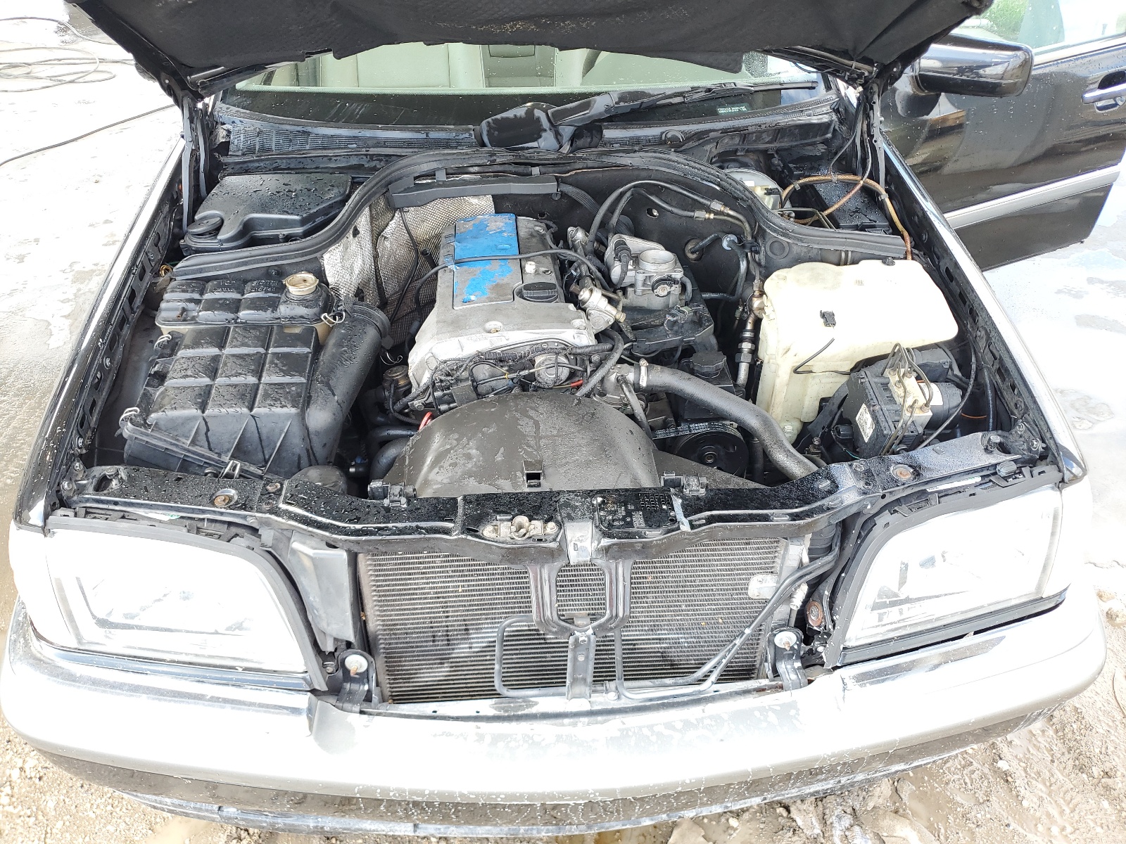 WDBHA23E1VF542231 1997 Mercedes-Benz C 230