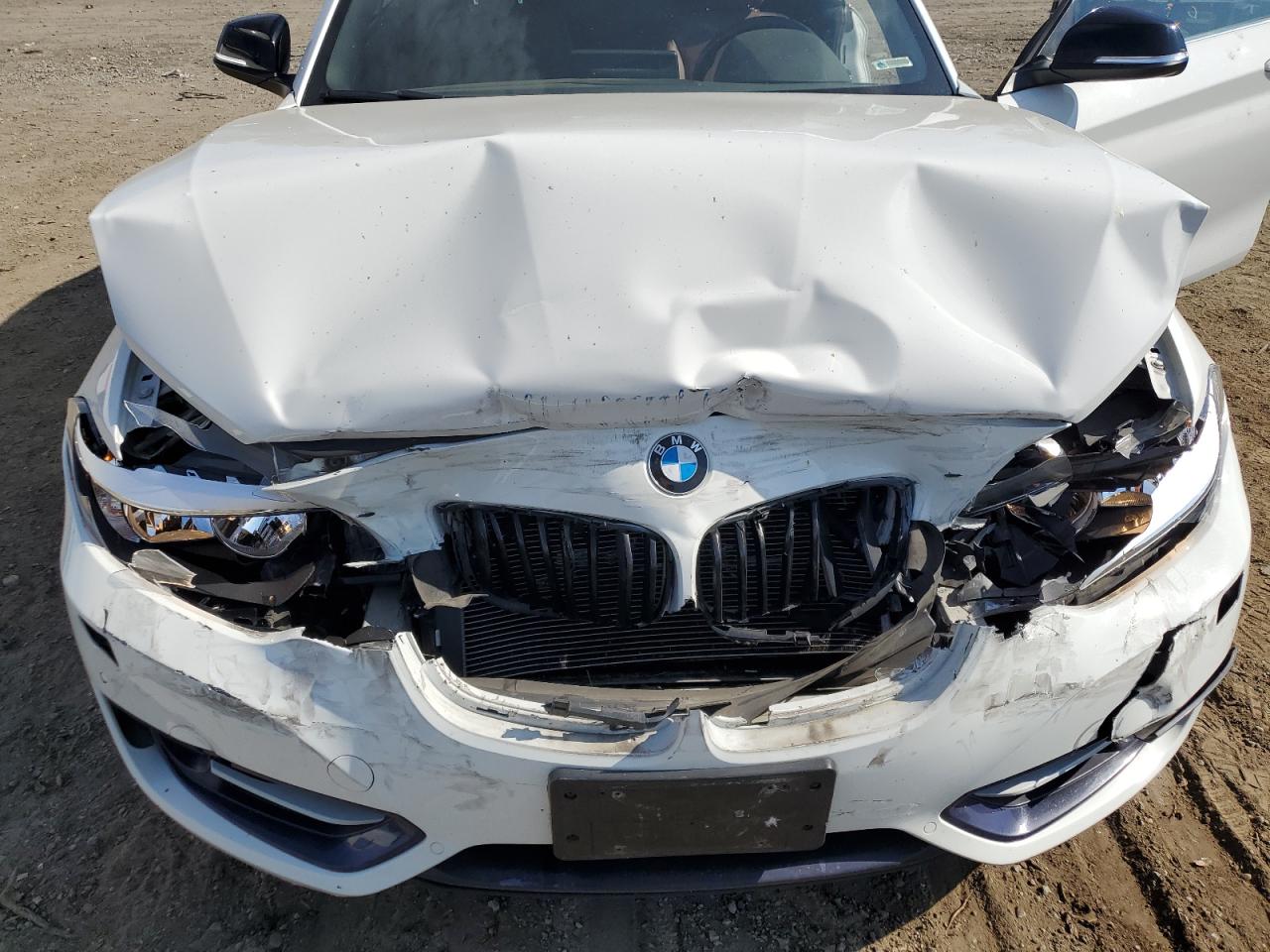 2015 BMW 228 Xi VIN: WBA1K7C50FV472528 Lot: 65786694