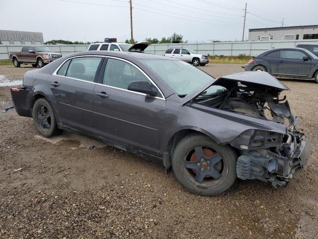  CHEVROLET MALIBU 2012 Gray