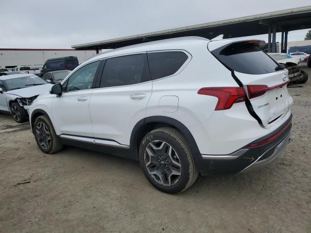 5NMS44ALXPH518124 Hyundai Santa Fe L 2