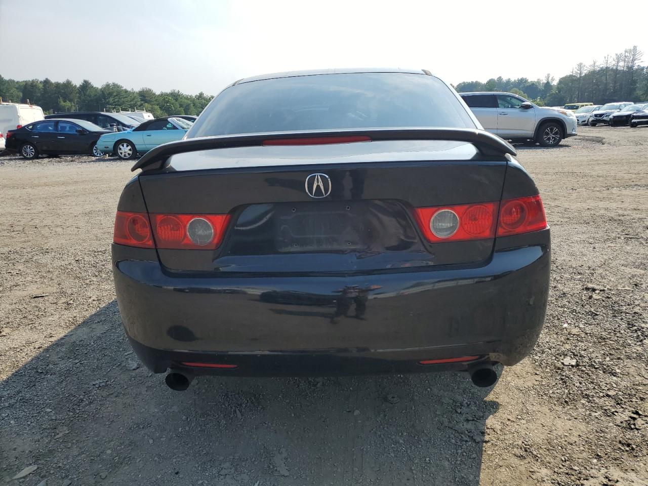 2004 Acura Tsx VIN: JH4CL968X4C041518 Lot: 66471194