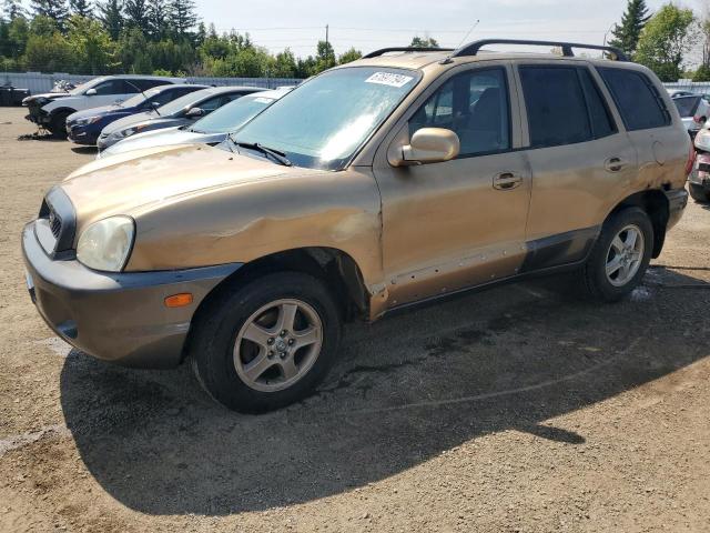 2004 Hyundai Santa Fe Gl