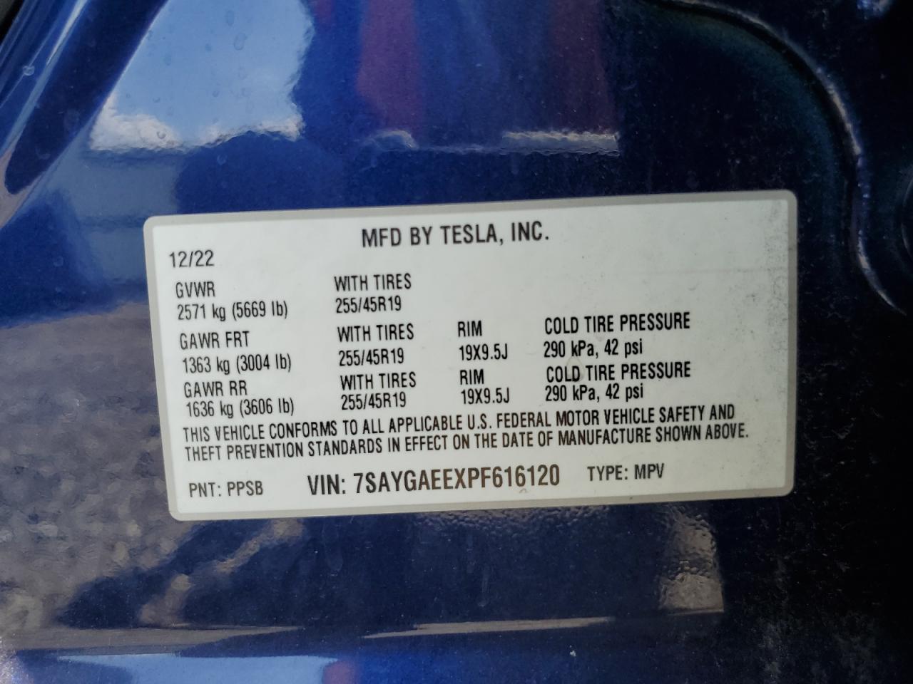 2023 Tesla Model Y VIN: 7SAYGAEEXPF616120 Lot: 68528634