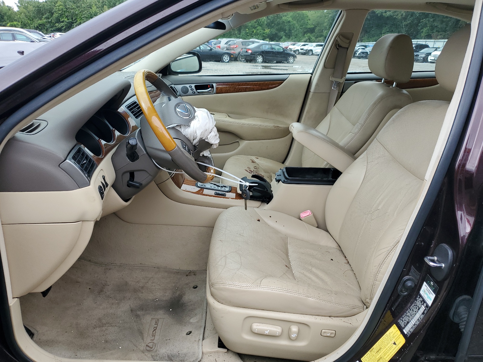 JTHBA30G965146914 2006 Lexus Es 330