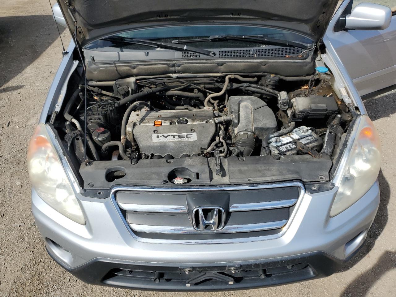 2005 Honda Cr-V Se VIN: JHLRD78925C800105 Lot: 65600694