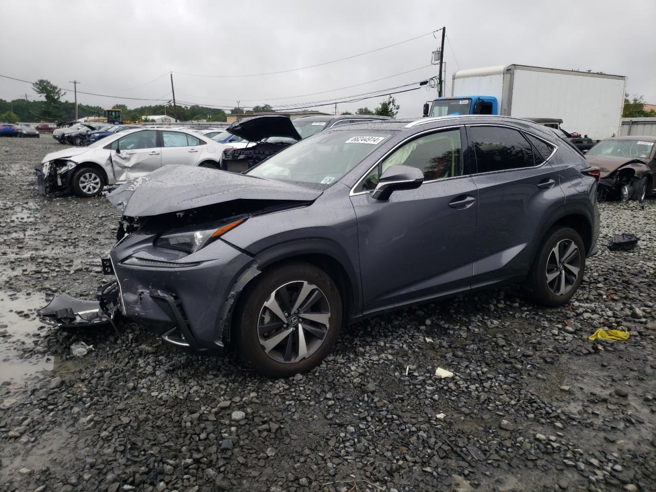 JTJGARDZ4M2248381 2021 LEXUS NX - Image 1