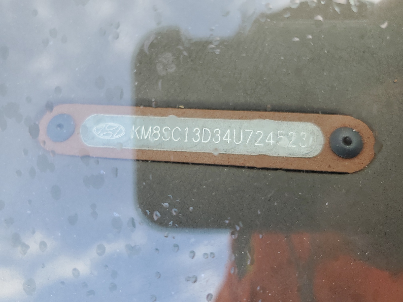 KM8SC13D34U724523 2004 Hyundai Santa Fe Gls