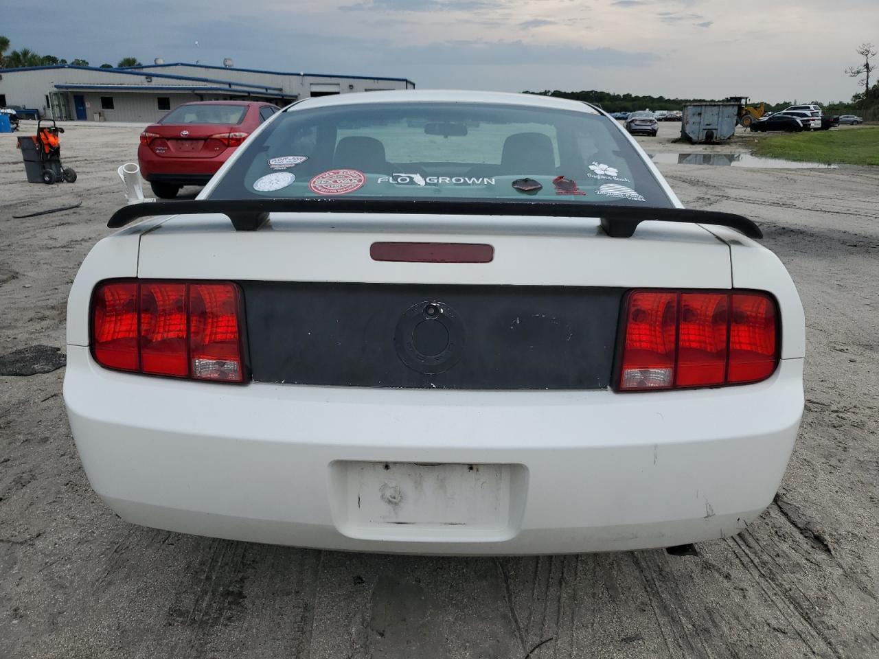 2006 Ford Mustang VIN: 1ZVFT80N065175272 Lot: 65917544