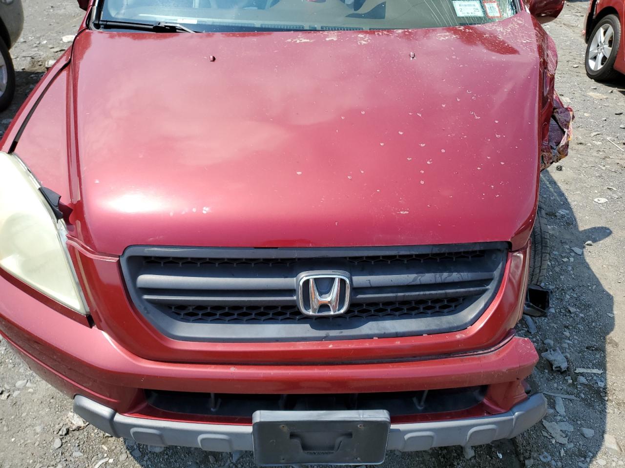 2005 Honda Pilot Exl VIN: 5FNYF18595B065915 Lot: 65799024