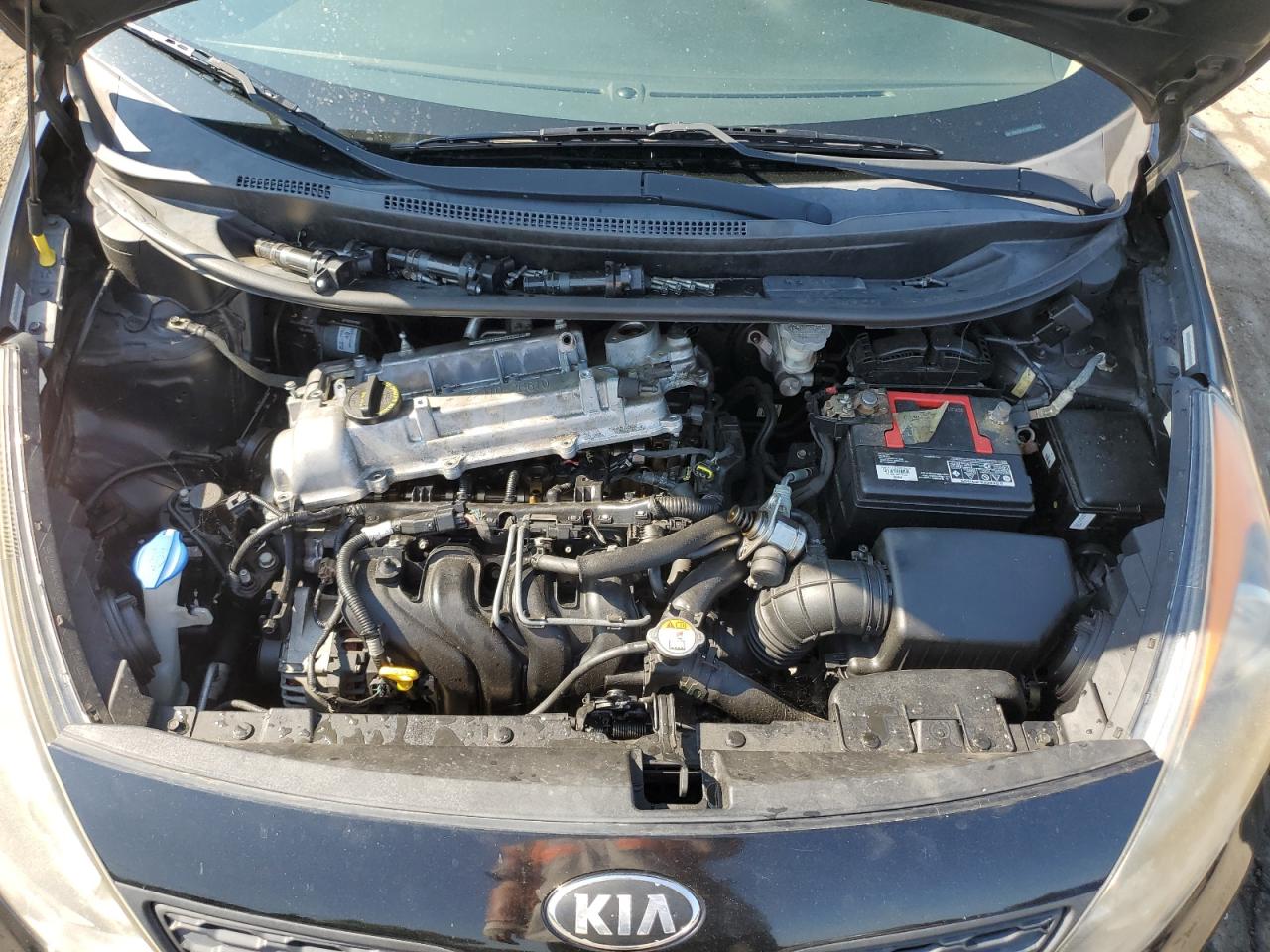 KNADM5A35E6391269 2014 Kia Rio Lx