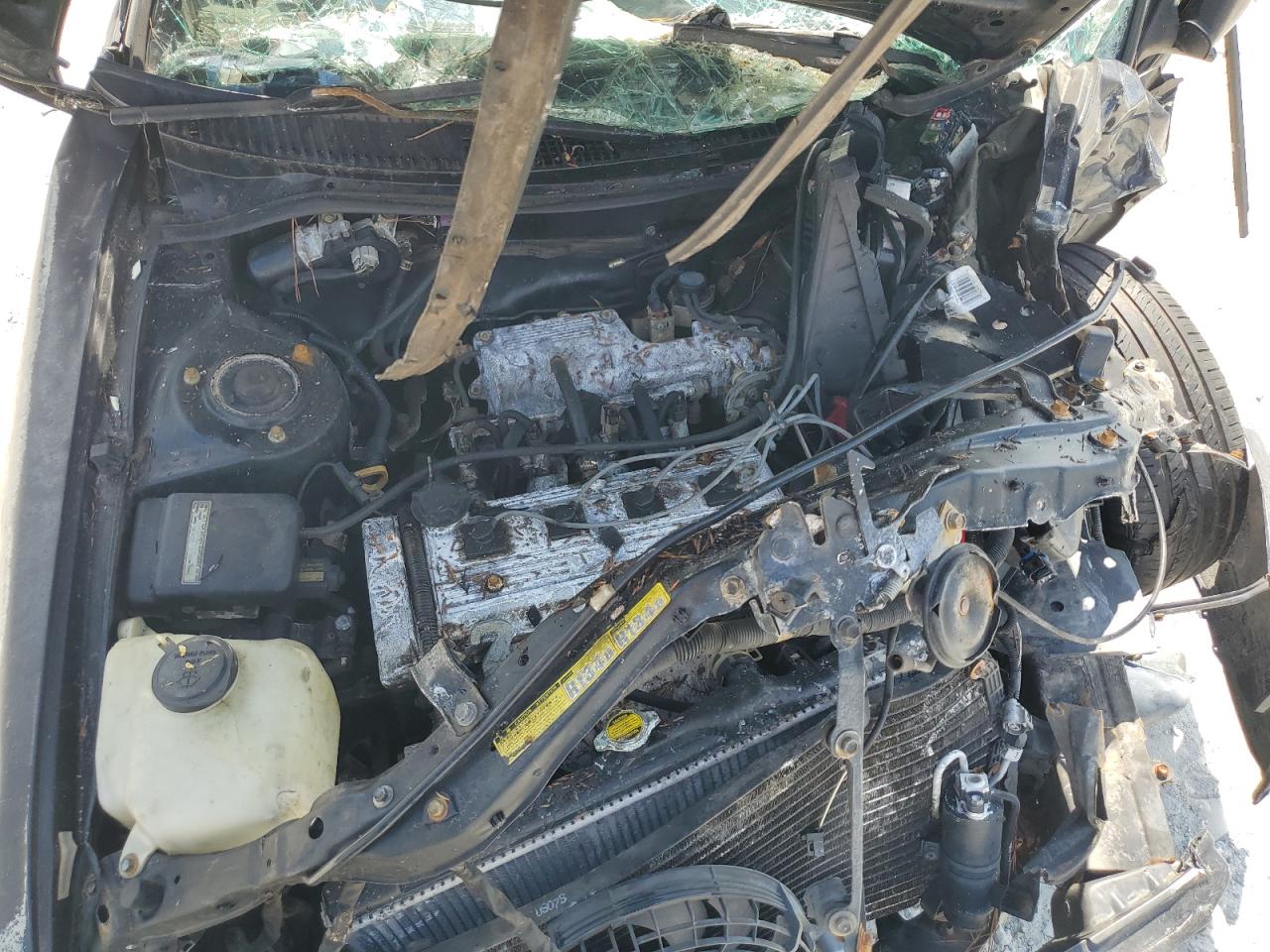 1997 Toyota Corolla - Image 12