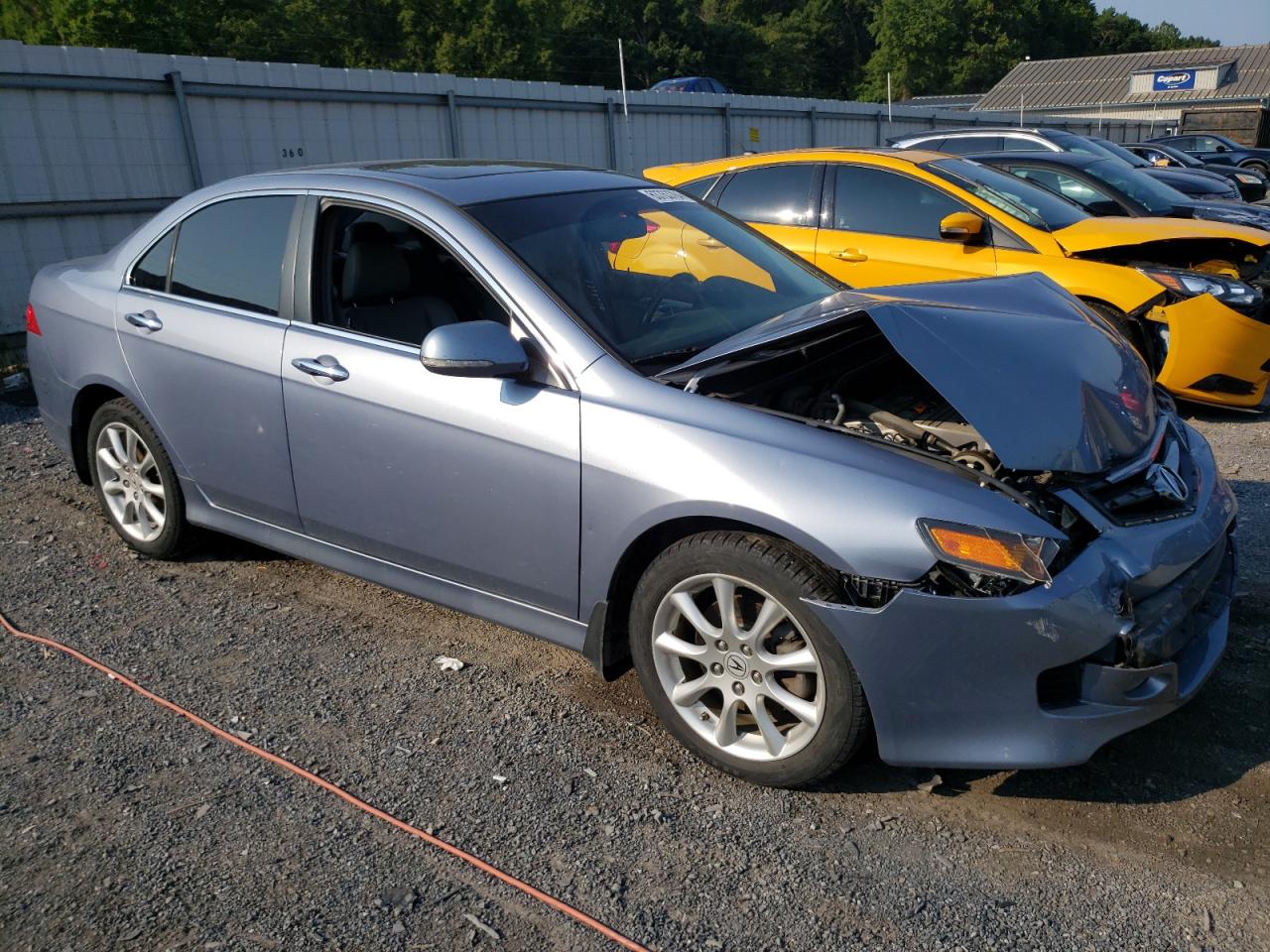 2007 Acura Tsx VIN: JH4CL96867C015177 Lot: 63763784