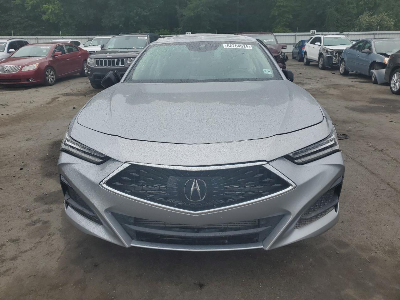 2023 Acura Tlx VIN: 19UUB5F34PA005606 Lot: 66764824