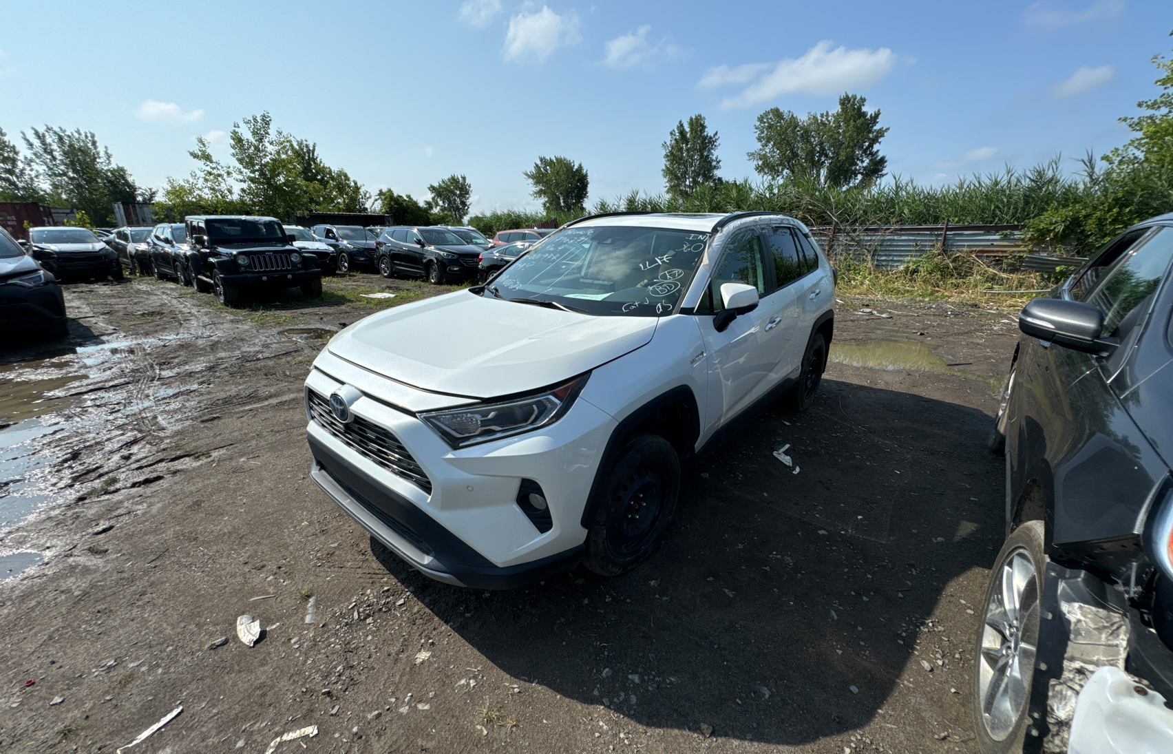 2019 Toyota Rav4 Limited vin: 2T3DWRFV7KW001944