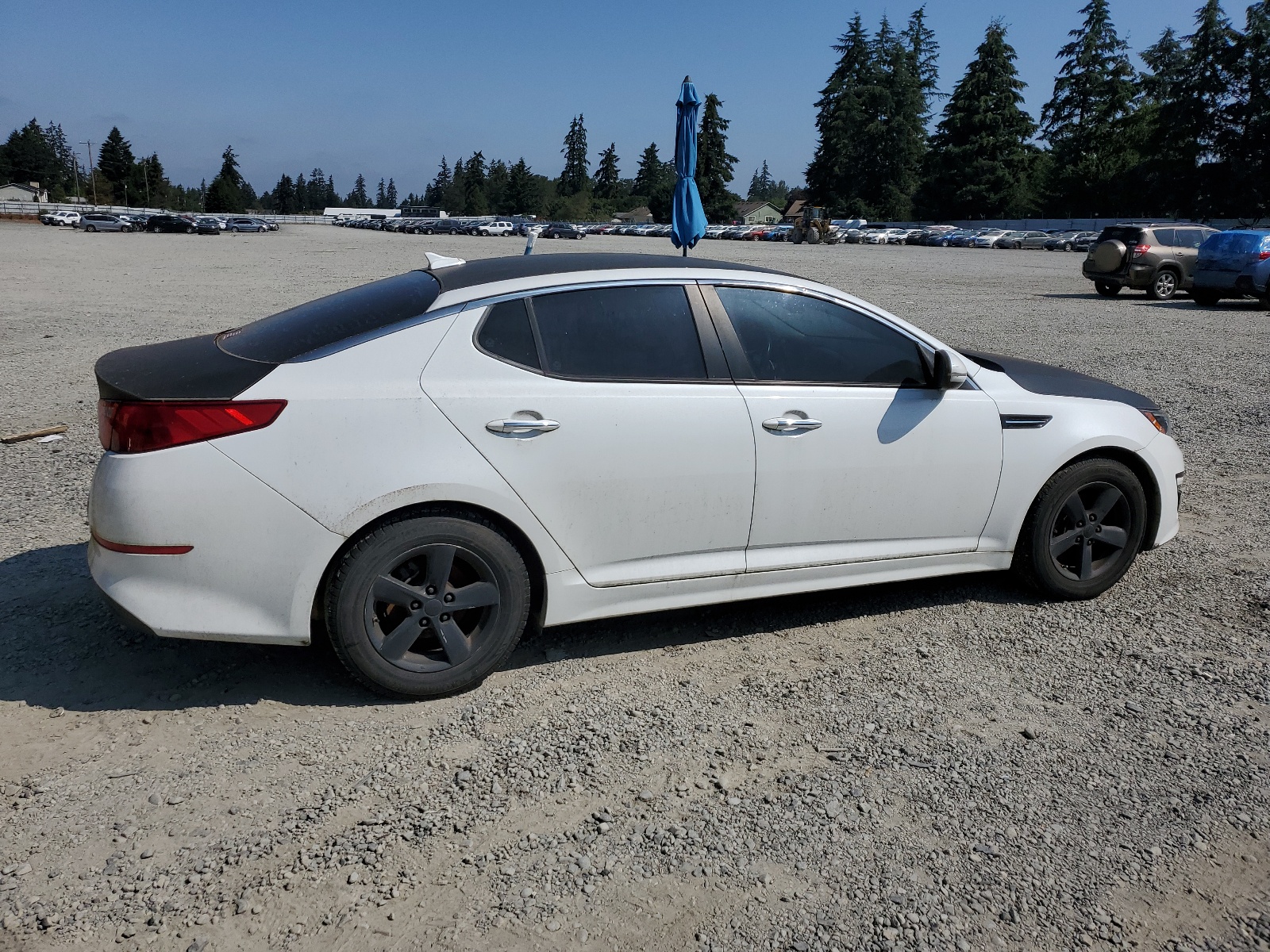 2015 Kia Optima Lx vin: 5XXGM4A72FG404284