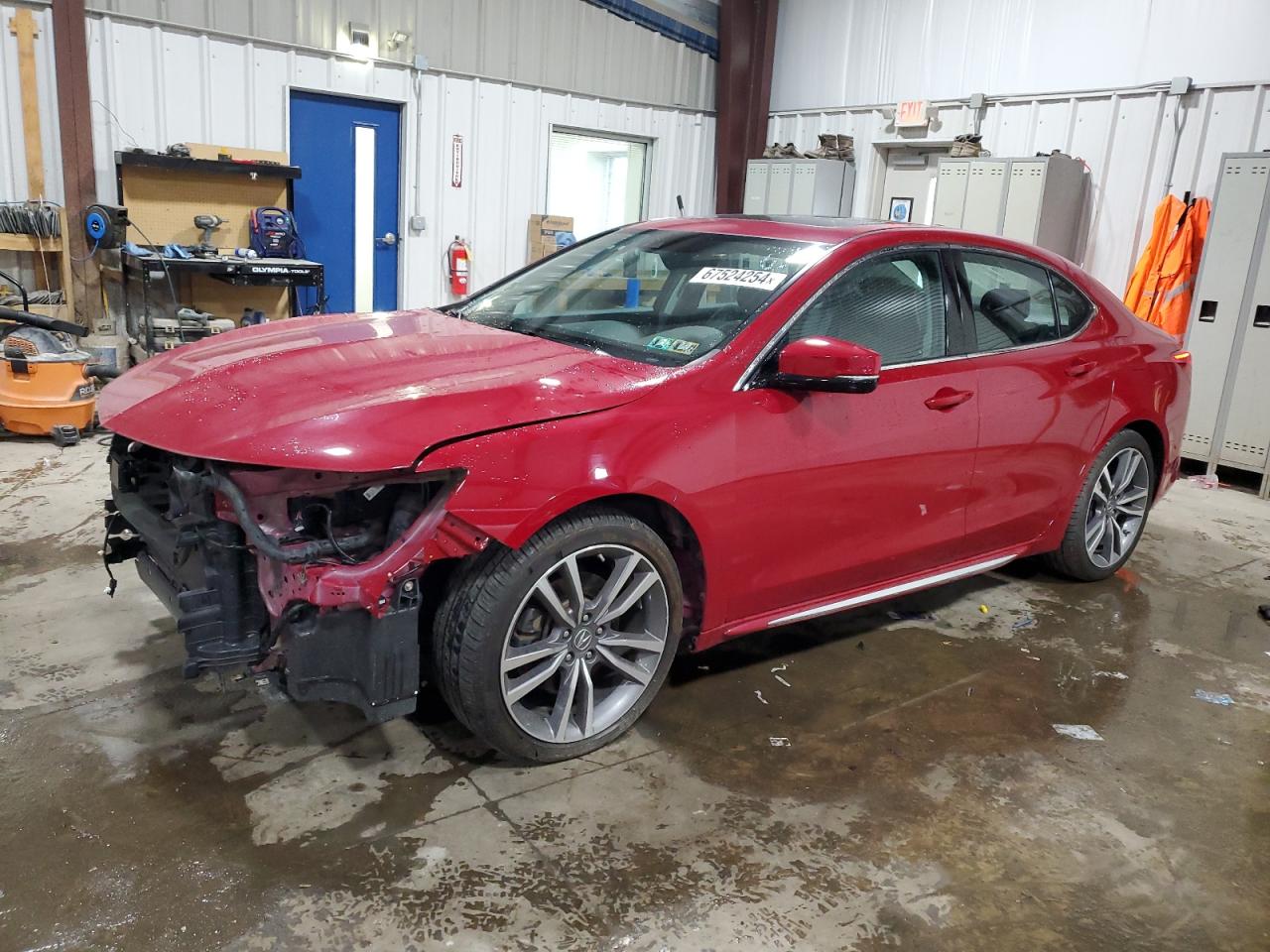 2019 Acura Tlx Technology VIN: 19UUB3F4XKA004725 Lot: 67524254