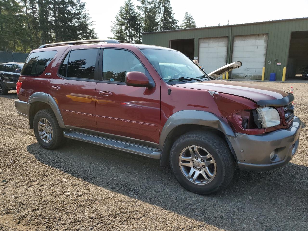 2004 Toyota Sequoia Sr5 VIN: 5TDBT44A14S216341 Lot: 64892194