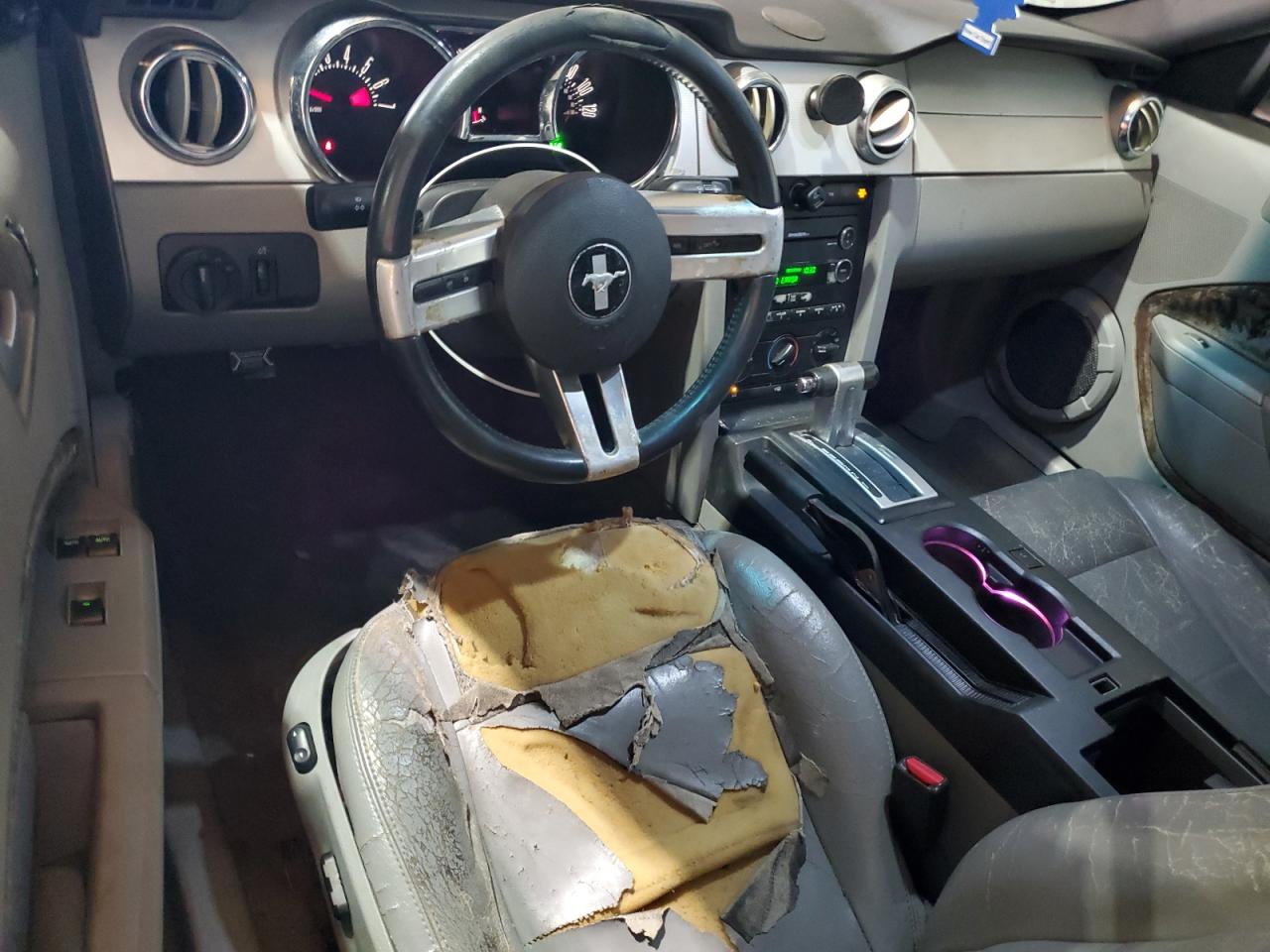 2009 Ford Mustang VIN: 1ZVHT84N895115747 Lot: 67311014