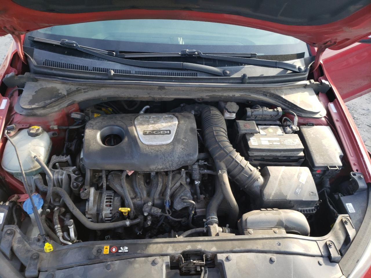 2018 Hyundai Elantra Sport VIN: KMHD04LB5JU502482 Lot: 65652944