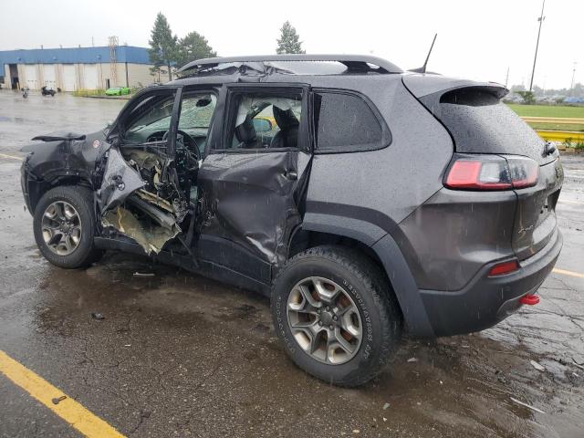  JEEP CHEROKEE 2019 Gray