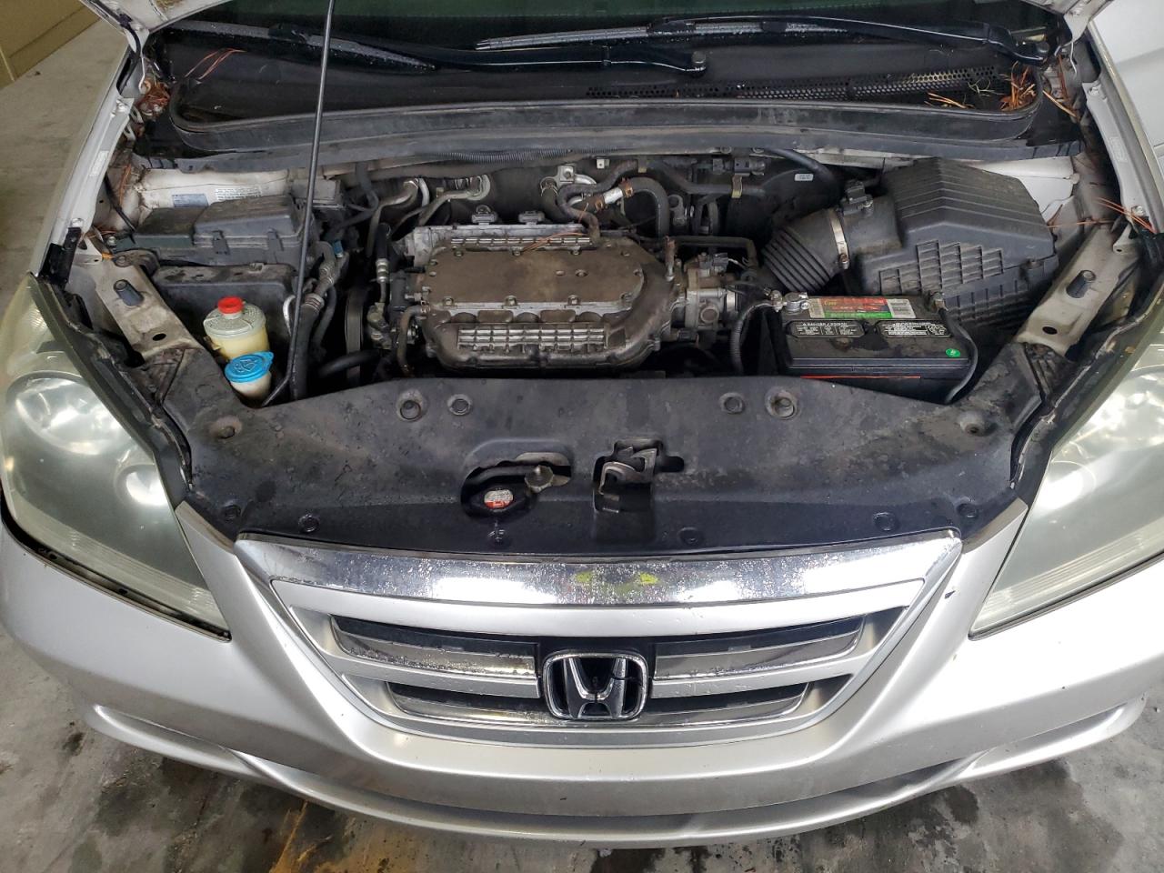 2007 Honda Odyssey Exl VIN: 5FNRL38687B438527 Lot: 65902684