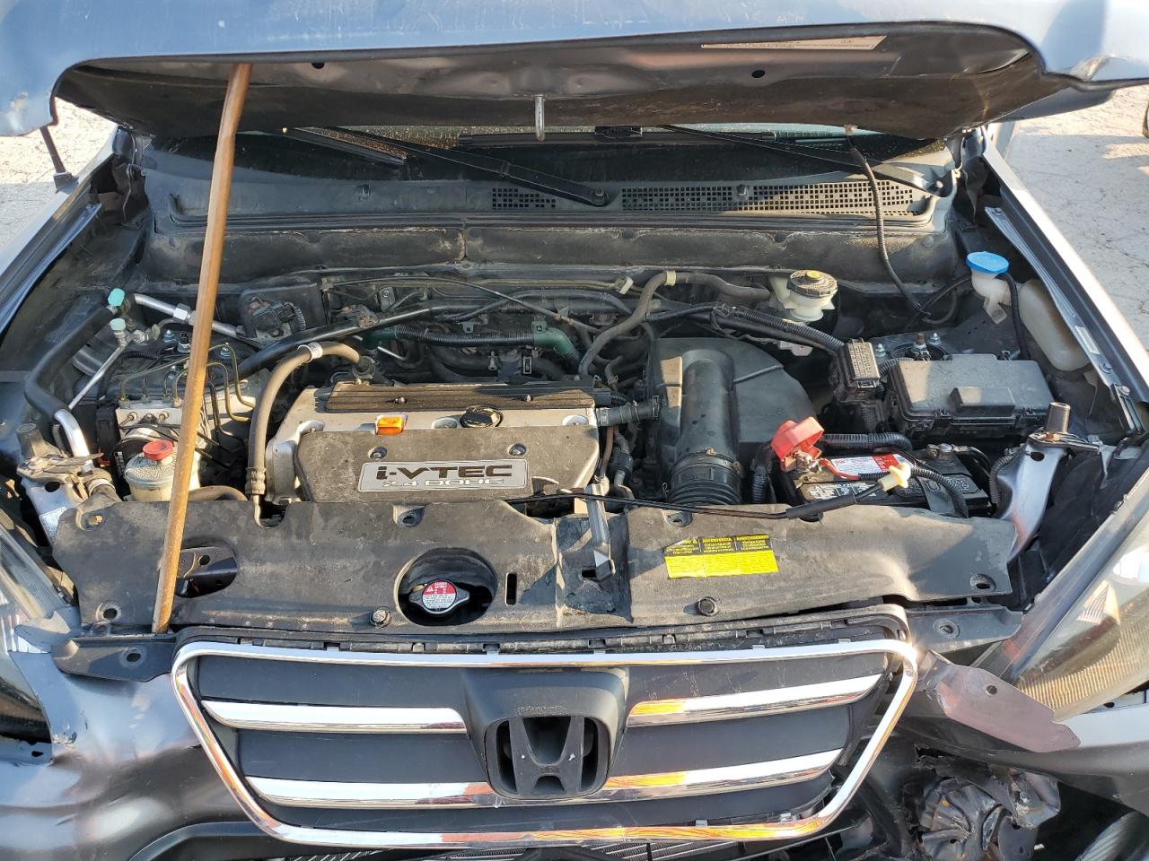 2006 Honda Cr-V Se VIN: JHLRD78936C026657 Lot: 66695704