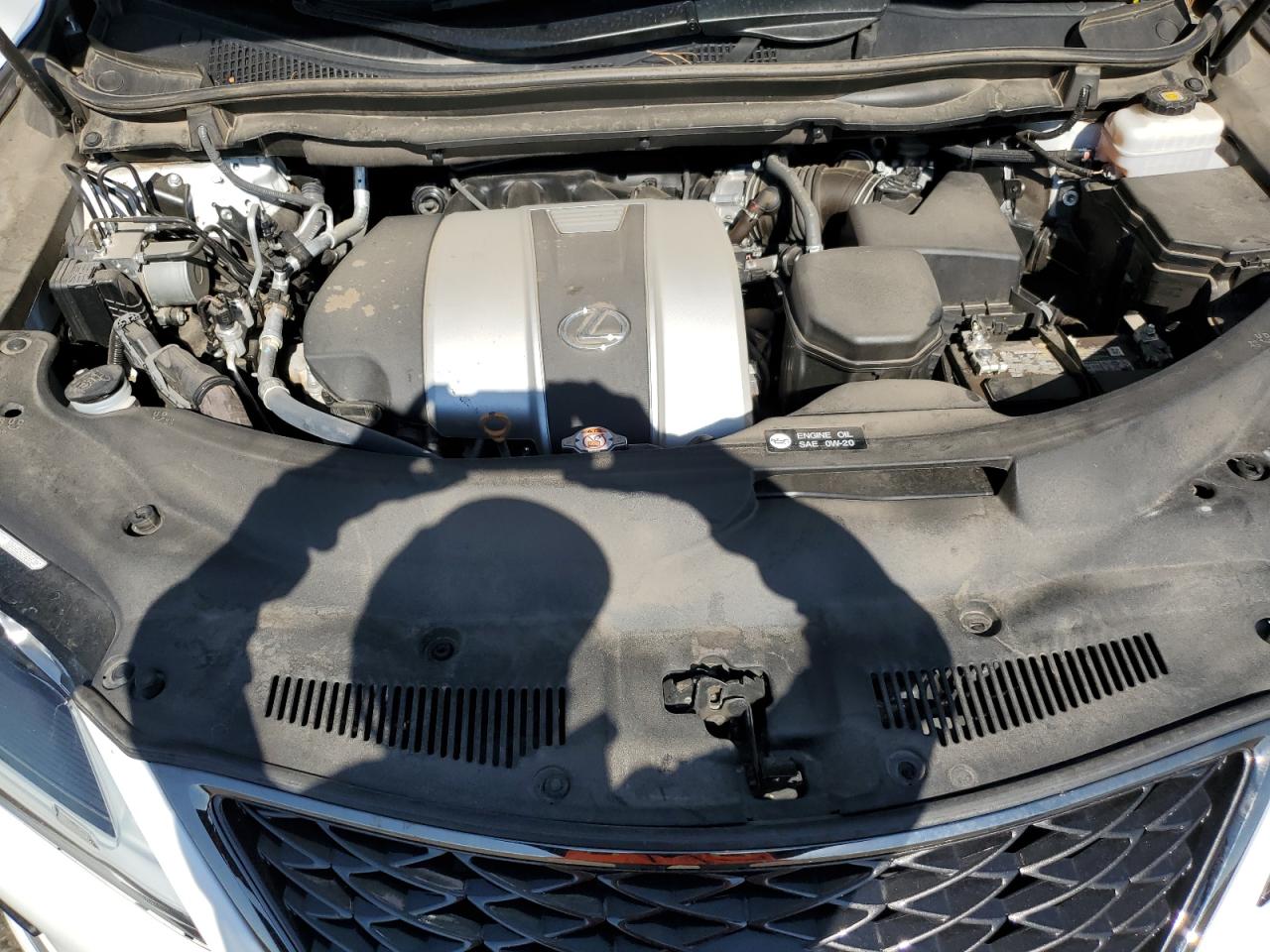 2020 Lexus Rx 350 F Sport VIN: 2T2YZMDA3LC246064 Lot: 65780894