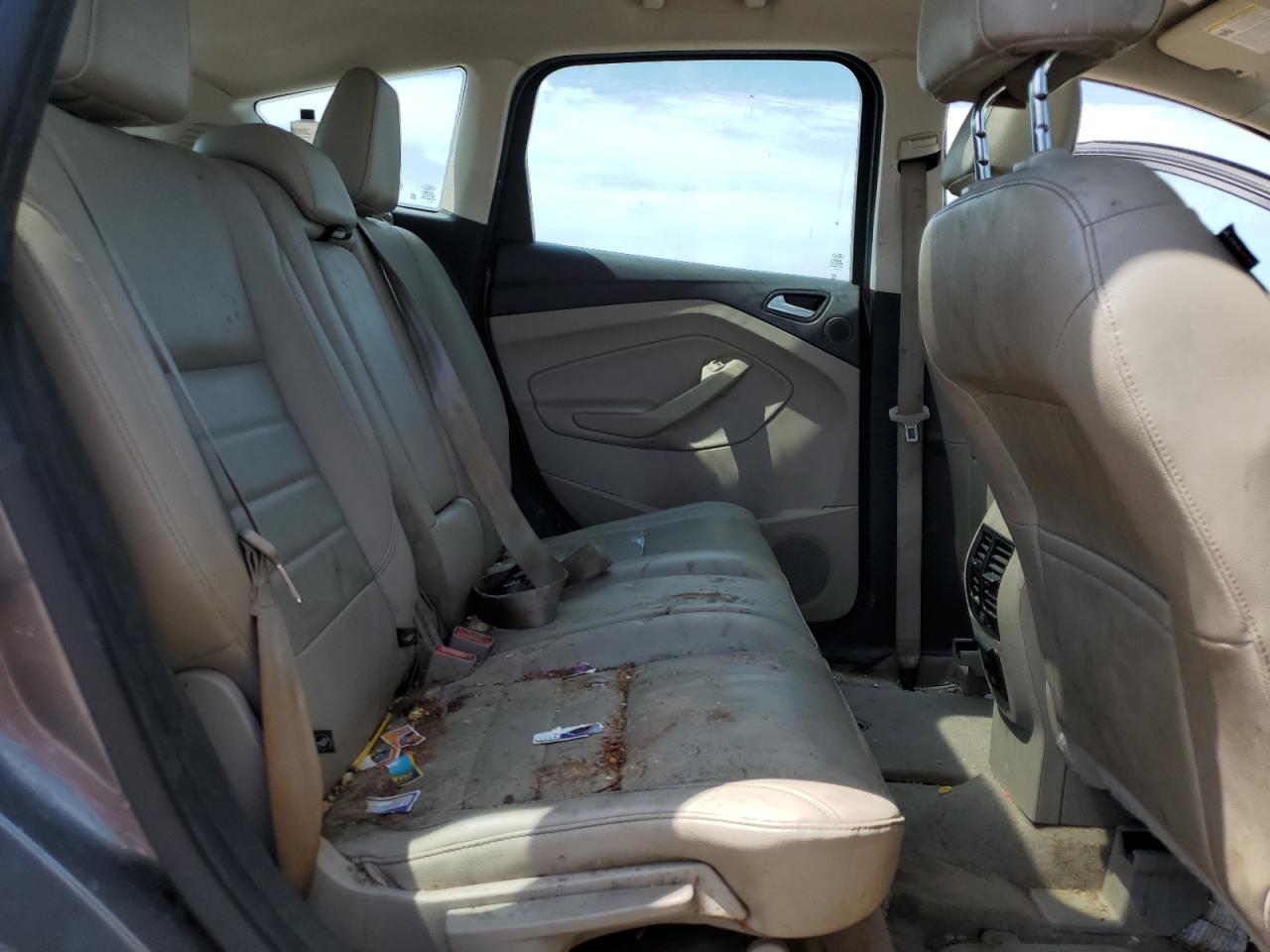 2014 Ford C-Max Sel VIN: 1FADP5BU6EL515994 Lot: 66290584