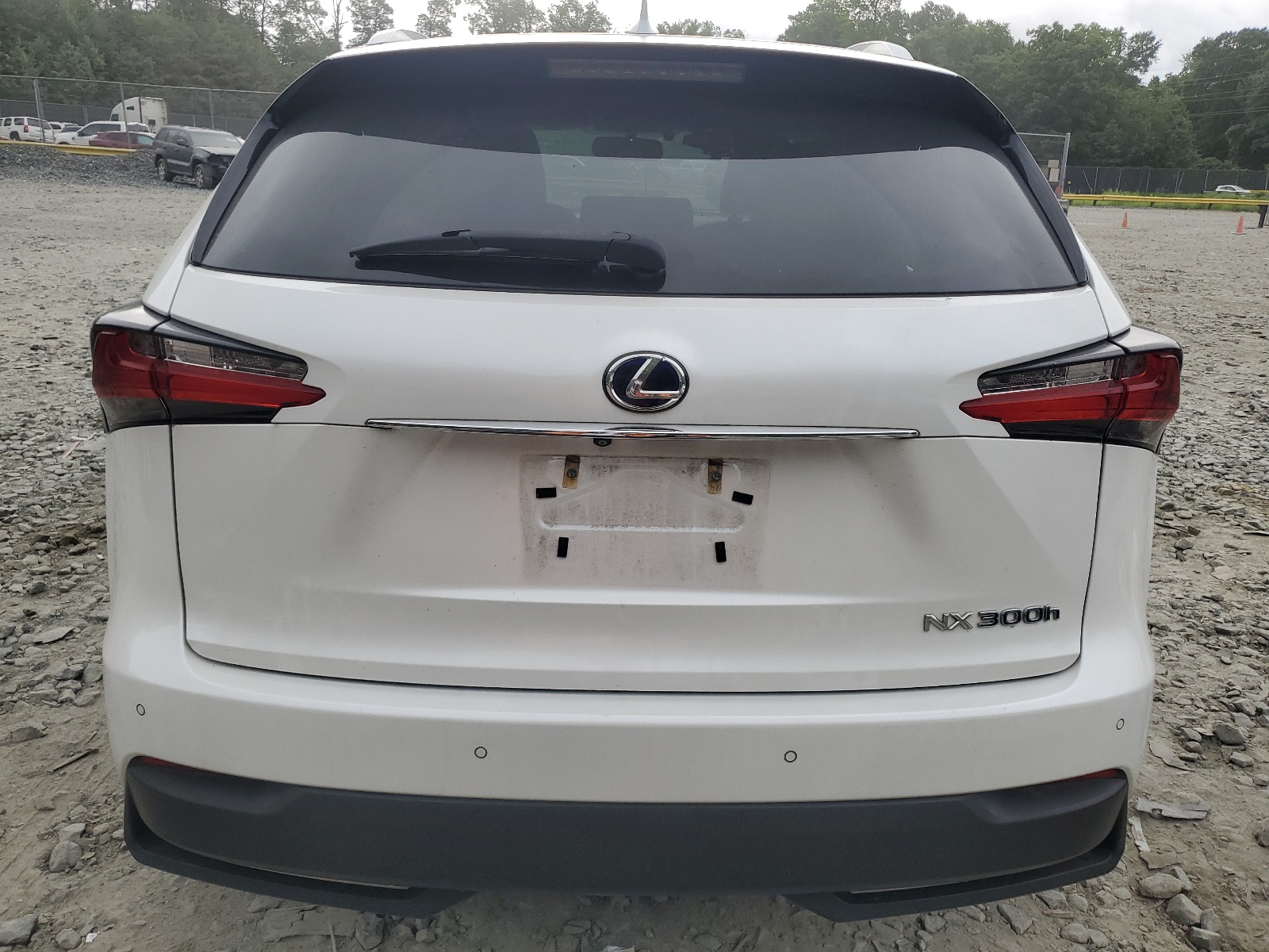 JTJBJRBZ9G2045312 2016 Lexus Nx 300H