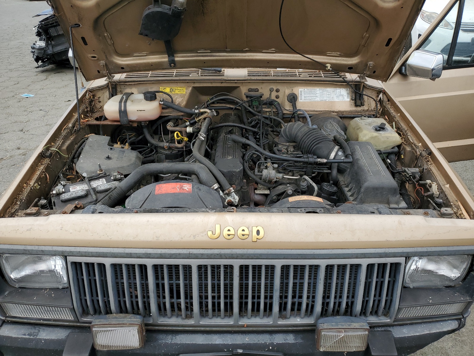 1J4FJ38L1LL228061 1990 Jeep Cherokee Pioneer