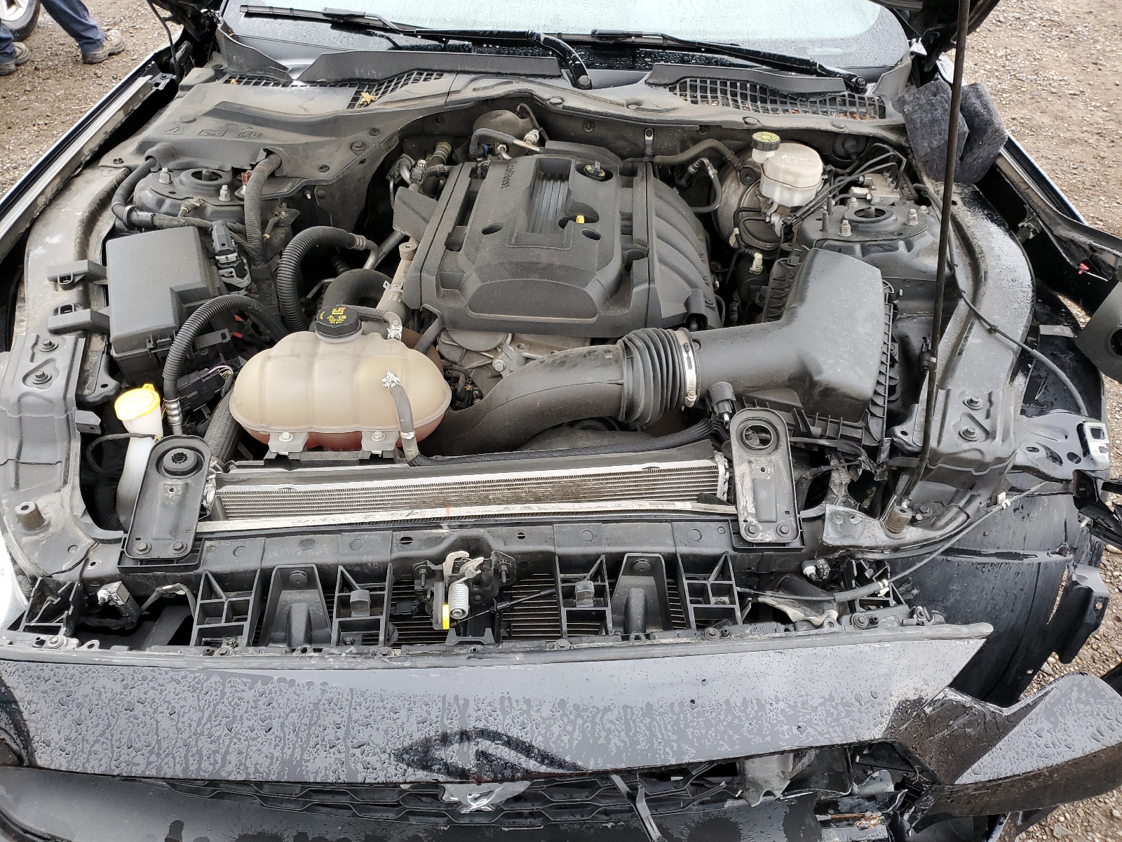 1FA6P8TH0K5176094 2019 Ford Mustang