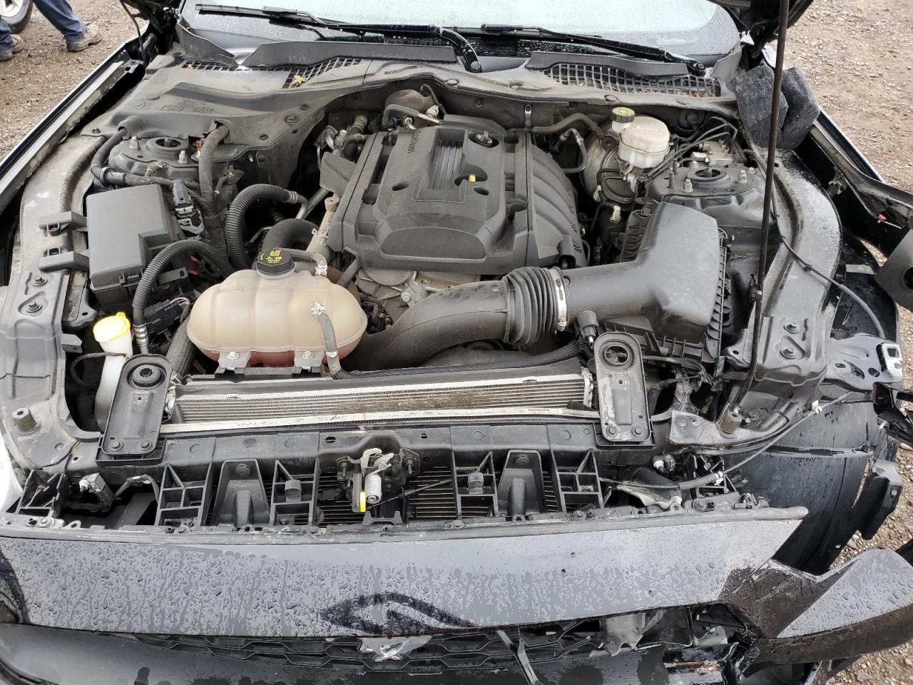 2019 Ford Mustang VIN: 1FA6P8TH0K5176094 Lot: 65762364