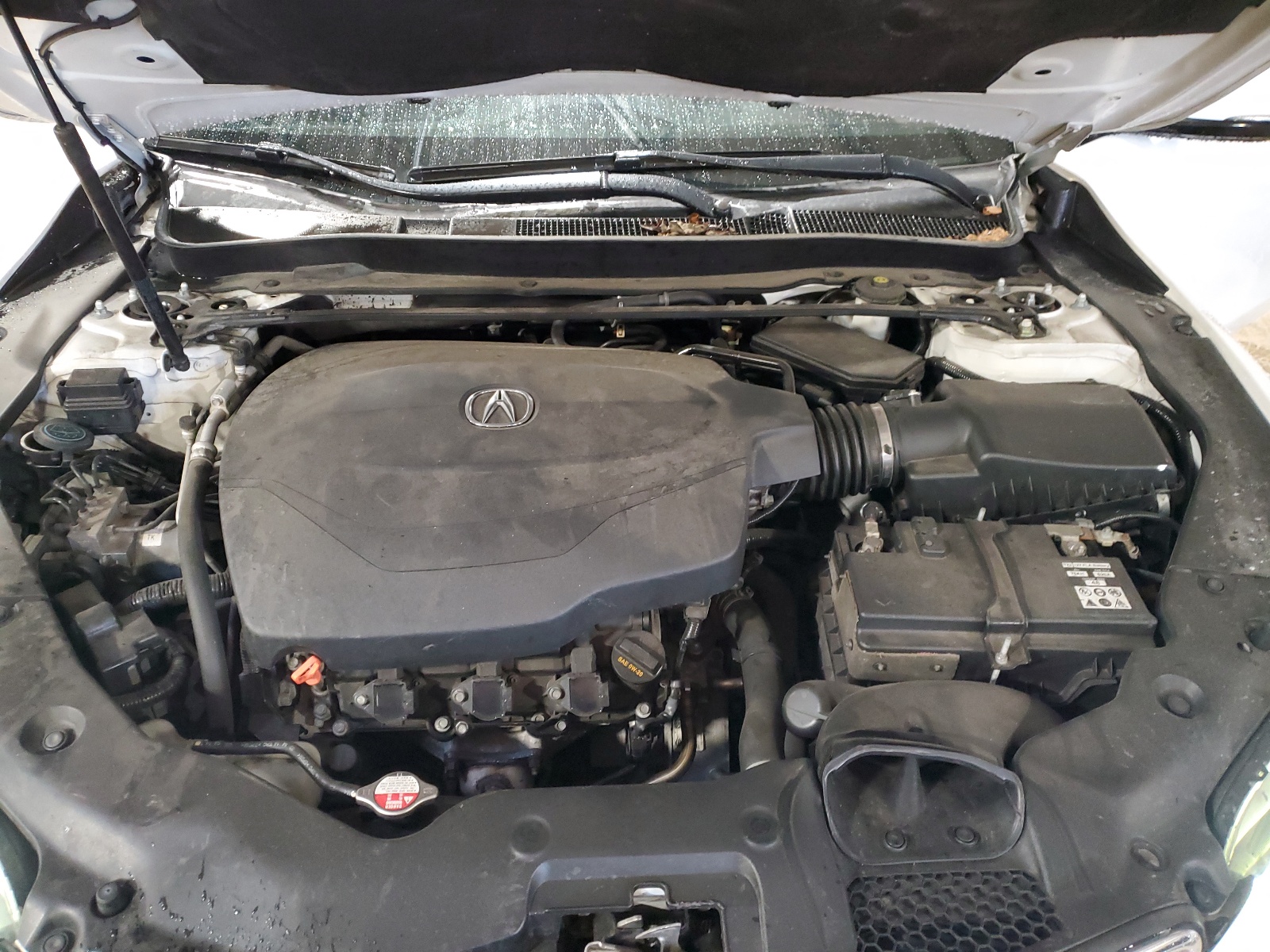 19UUB2F36FA009895 2015 Acura Tlx