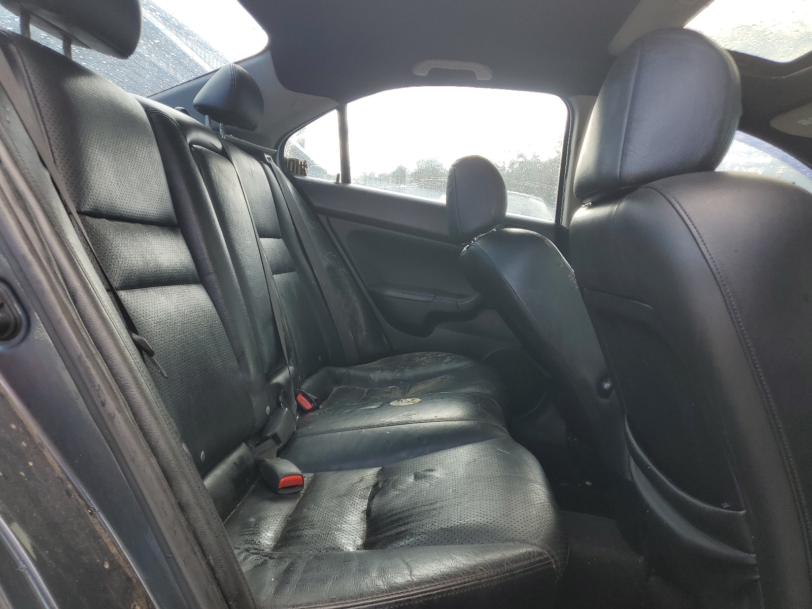 JH4CL96955C026323 2005 Acura Tsx