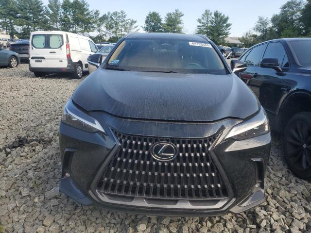 2T2ADCAZ4RC006423 Lexus NX 250 Bas 5